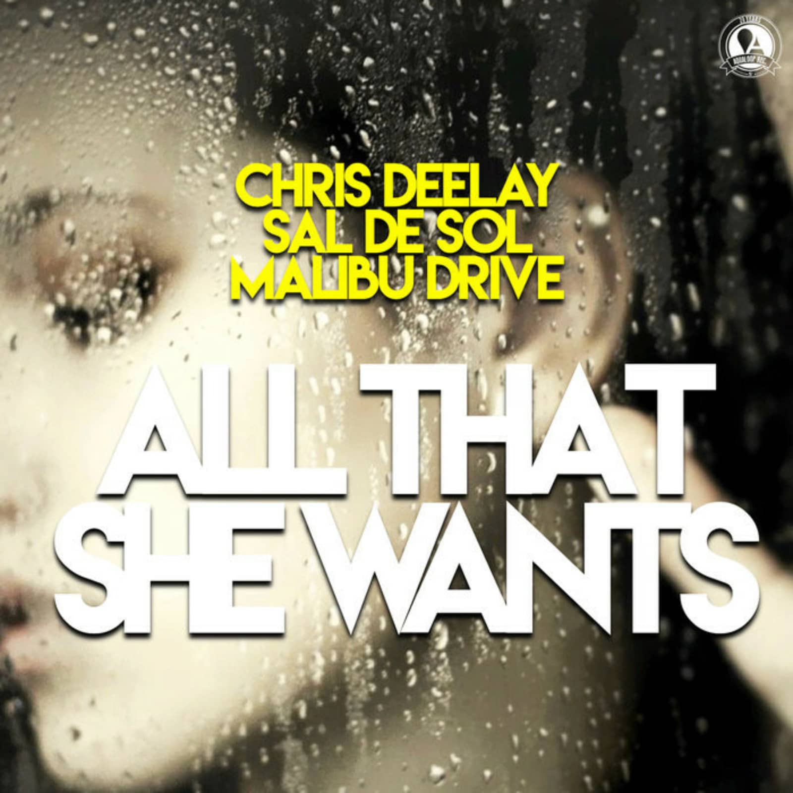 Chris Deelay,Sal De Sol,Malibu Drive — All That She Wants