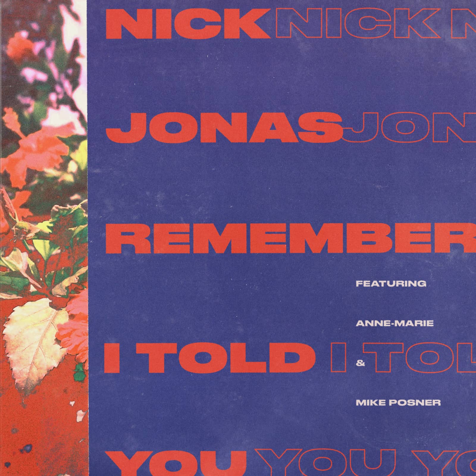 Nick Jonas feat. Anne-Marie & Mike Posner — Remember I Told You
