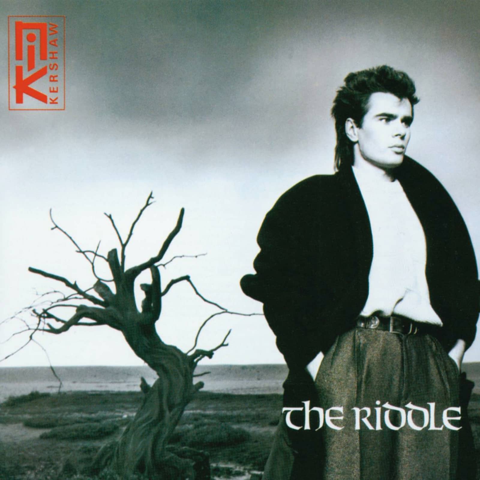 Nik Kershaw — The Riddle