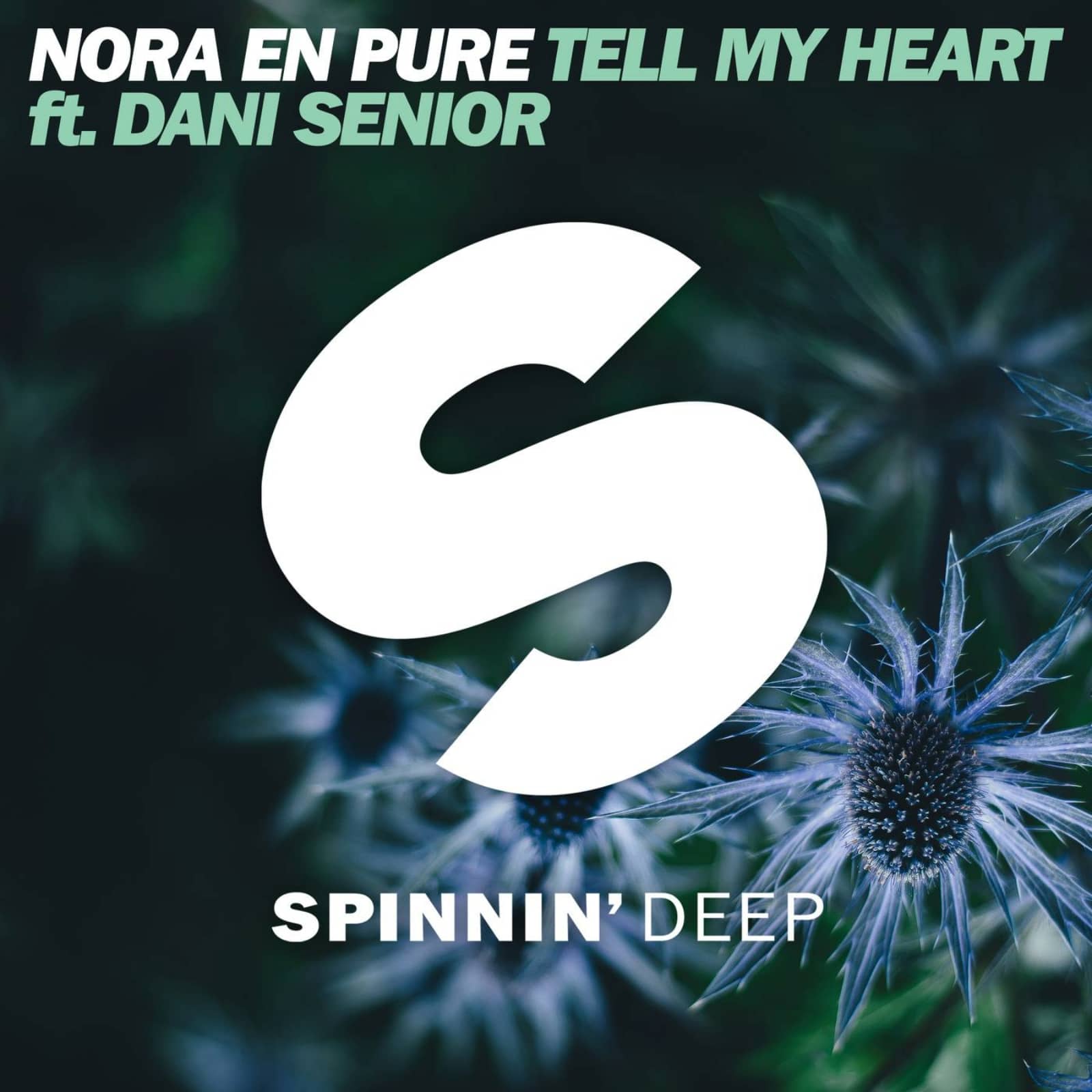 Nora En Pure Ft. Dani Senior — Tell My Heart