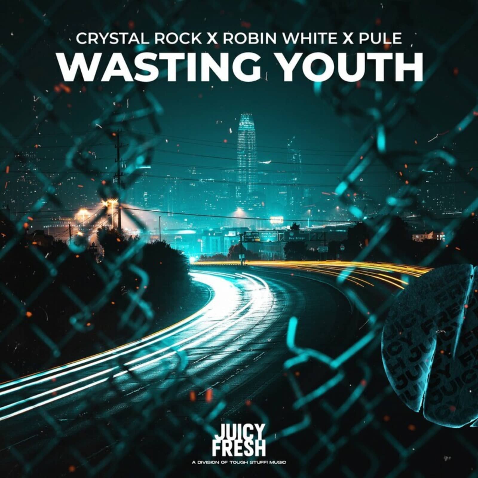 Crystal Rock Feat. Robin White & Pule — Wasting Youth