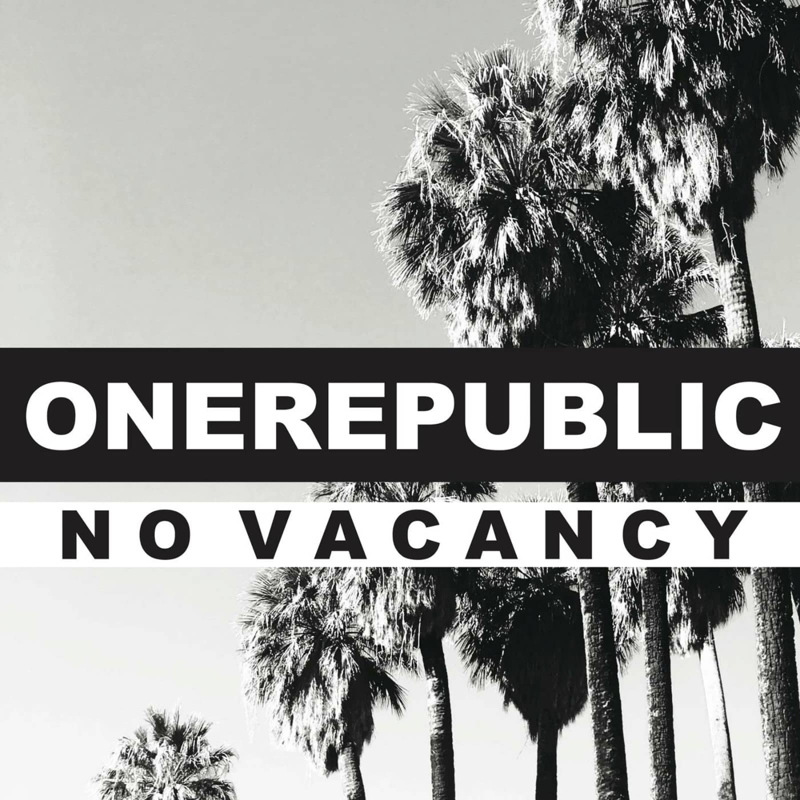 OneRepublic — No Vacancy