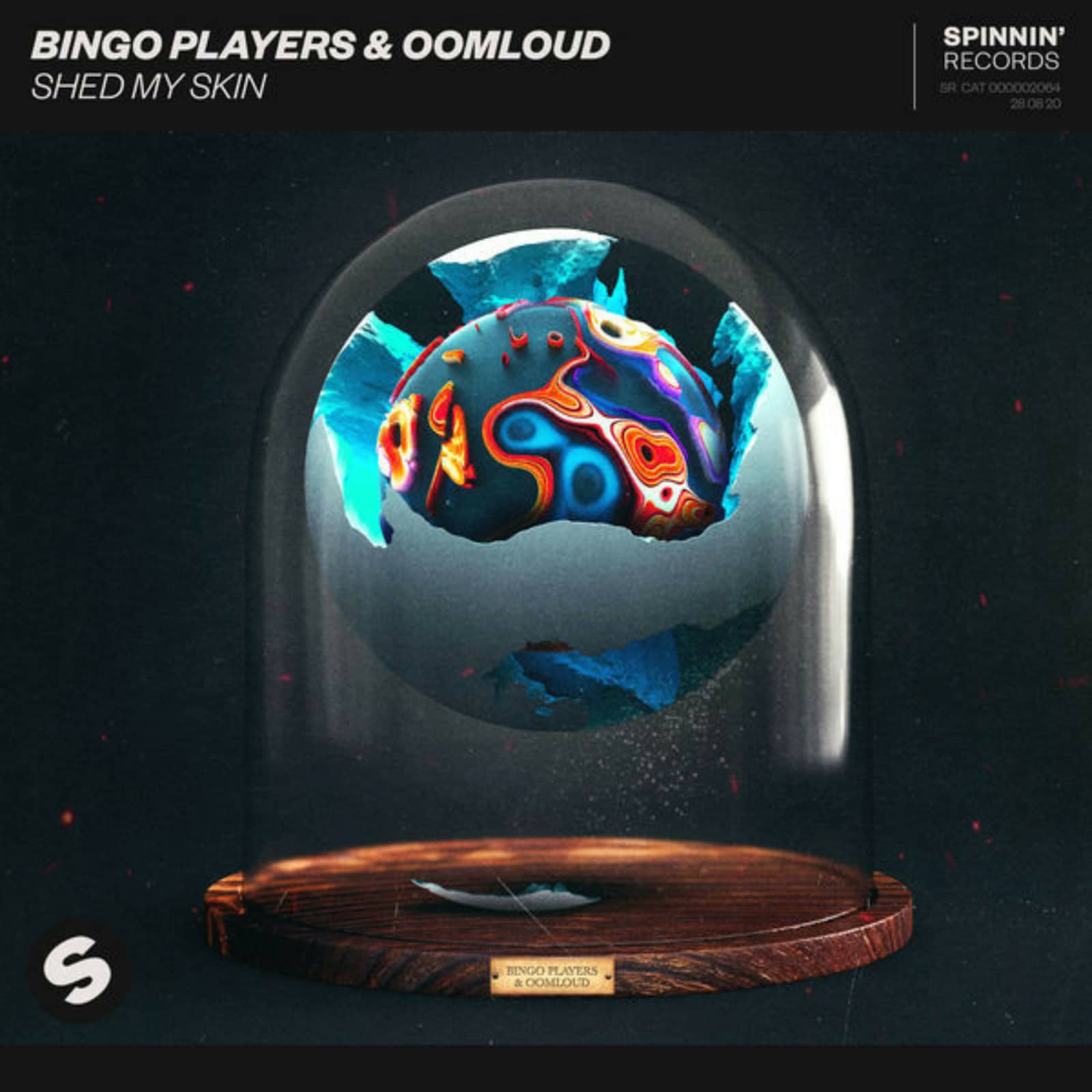 Bingo Players & Oomloud — Shed My Skin