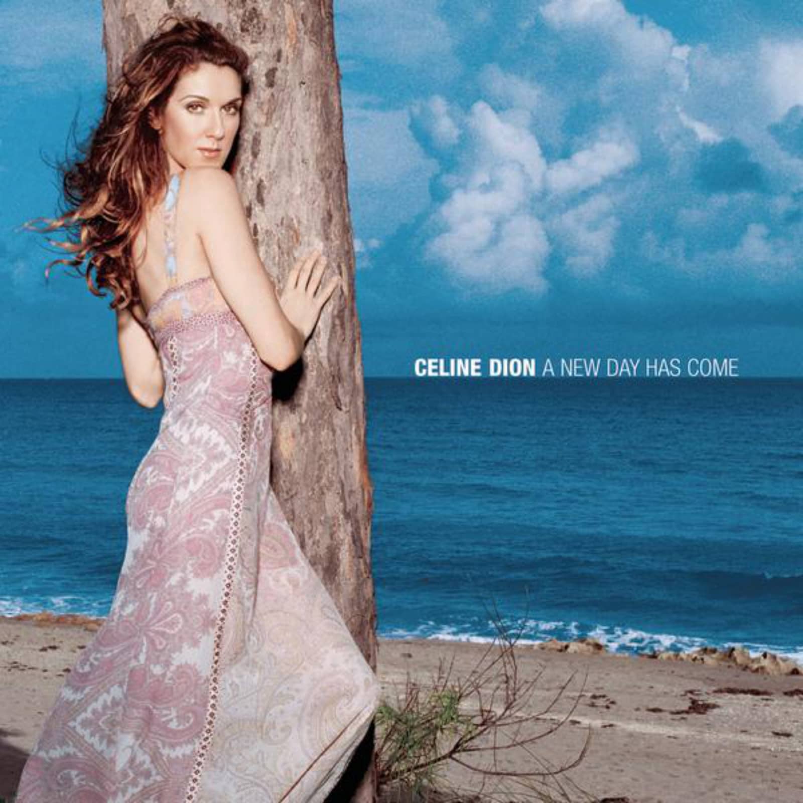 Céline Dion — A New Day Has Come