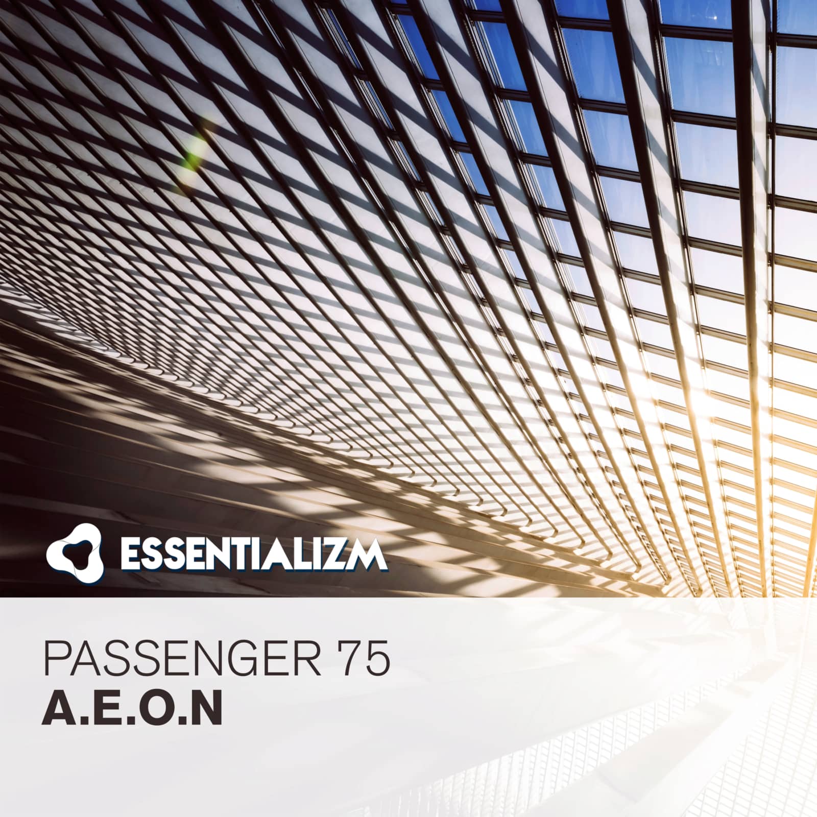 Passenger 75 — A.E.O.N (Radio Edit)