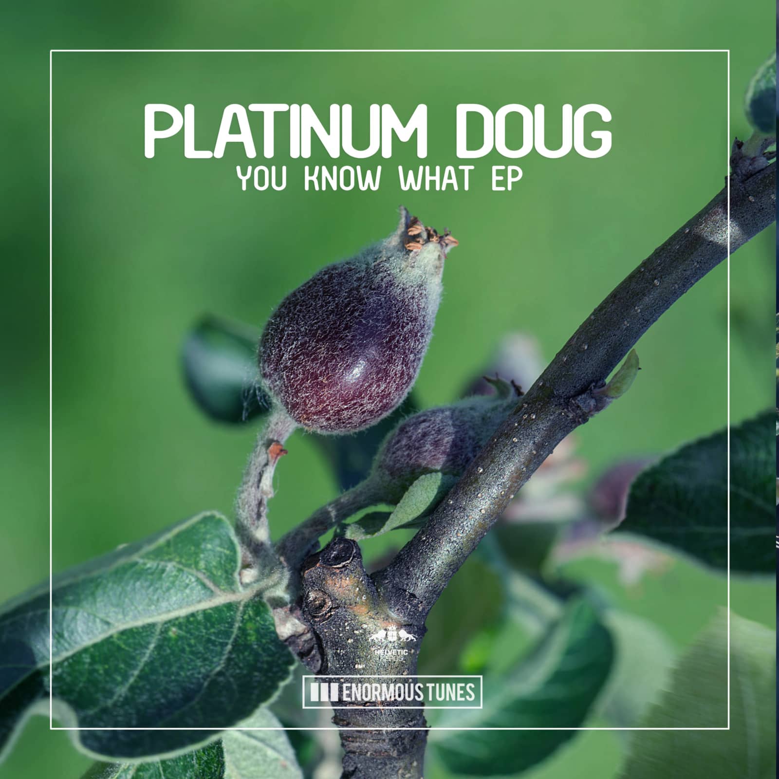 Platinum Doug — You Know What