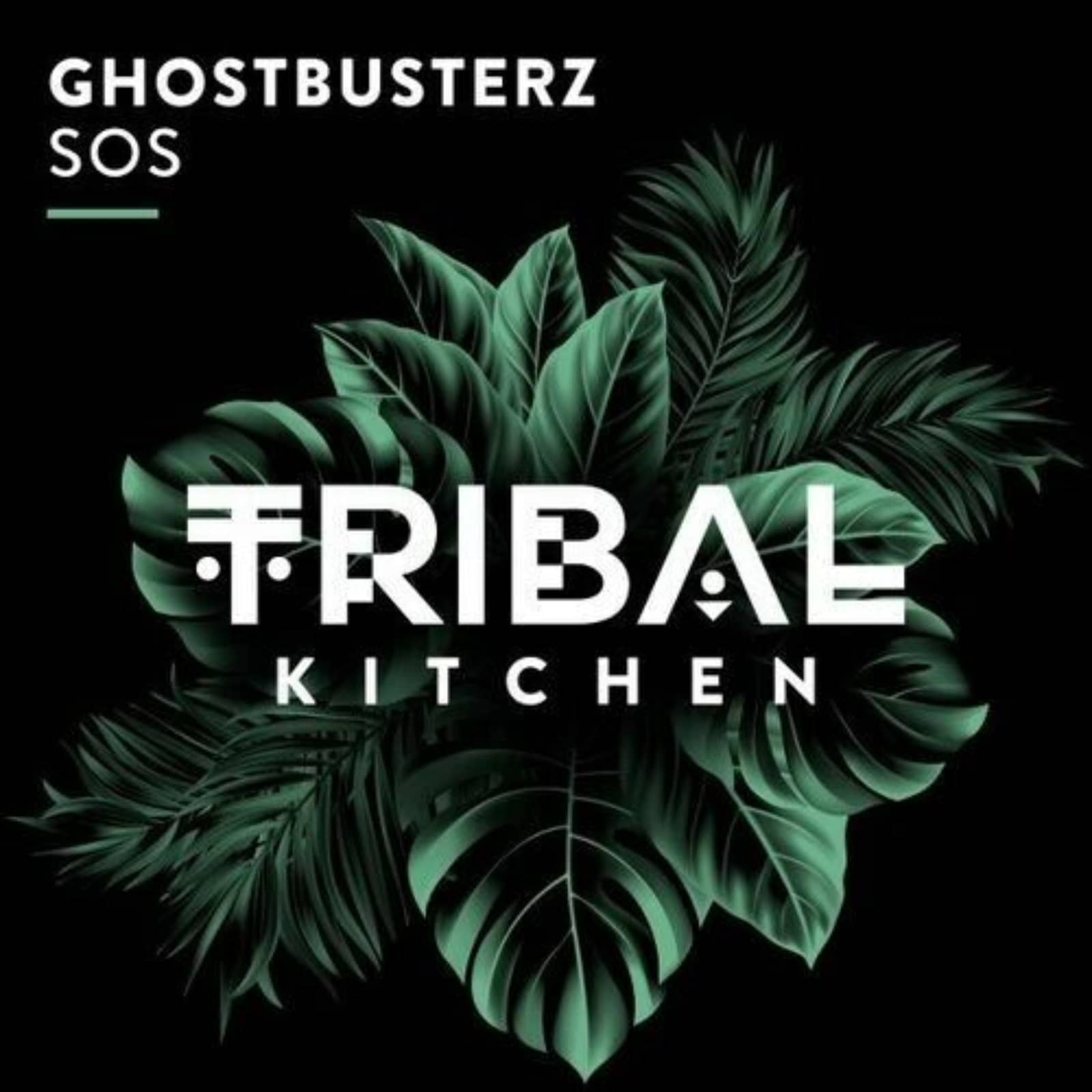 Ghostbusterz — SOS (Extended Mix)
