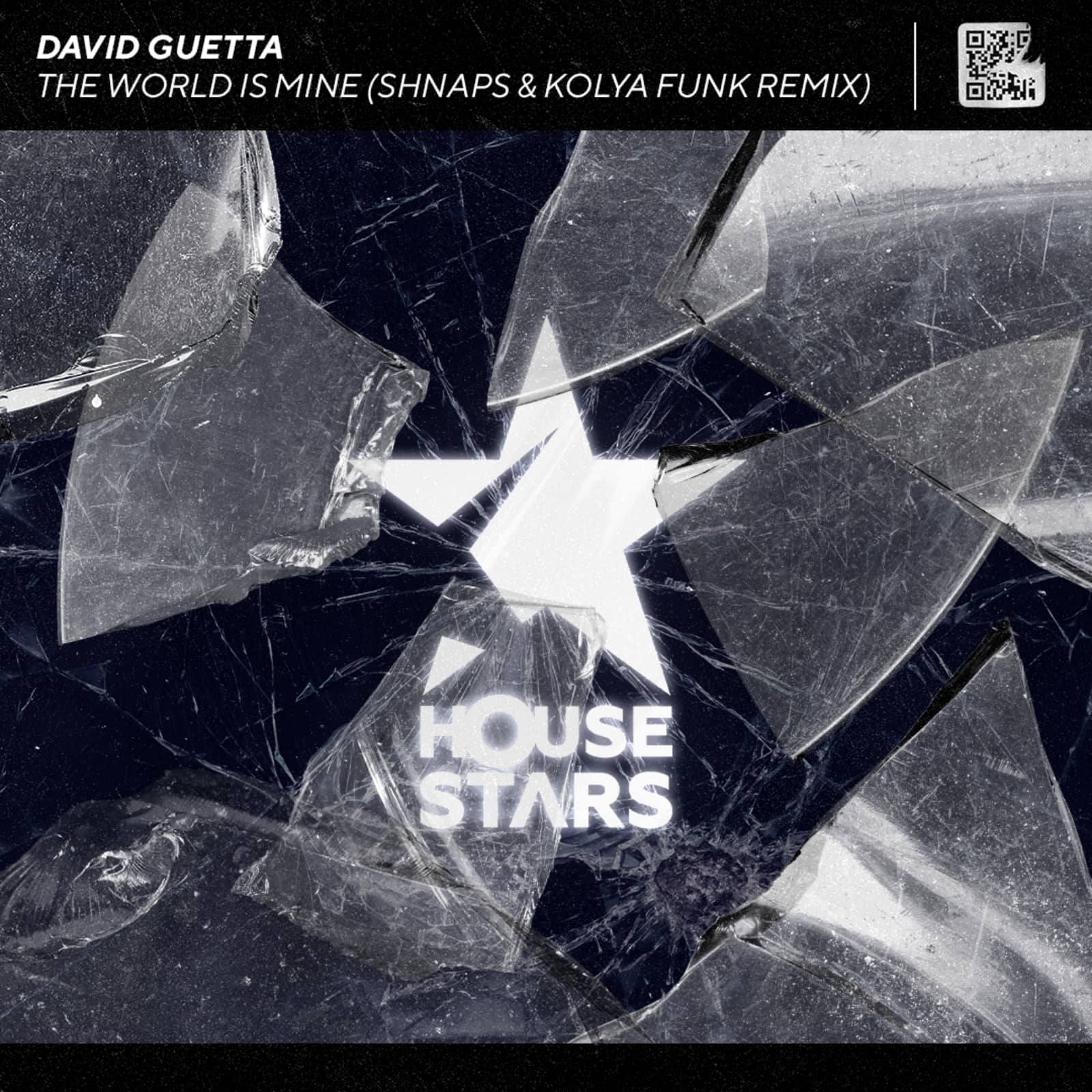 Shnaps & Kolya Funk — David Guetta - The World Is Mine (Shnaps & Kolya Funk Remix) (Radio edit)