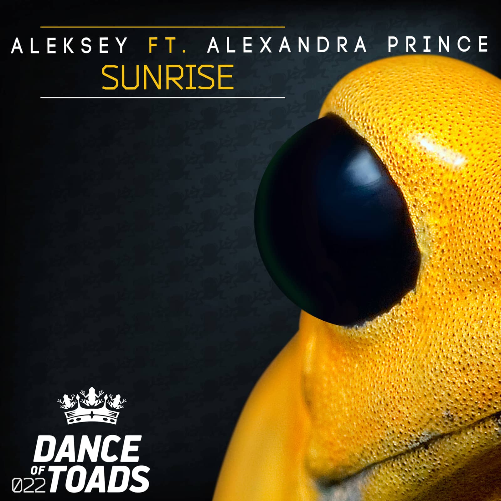 Aleksey feat. Alexandra Prince — Sunrise (Radio Edit)