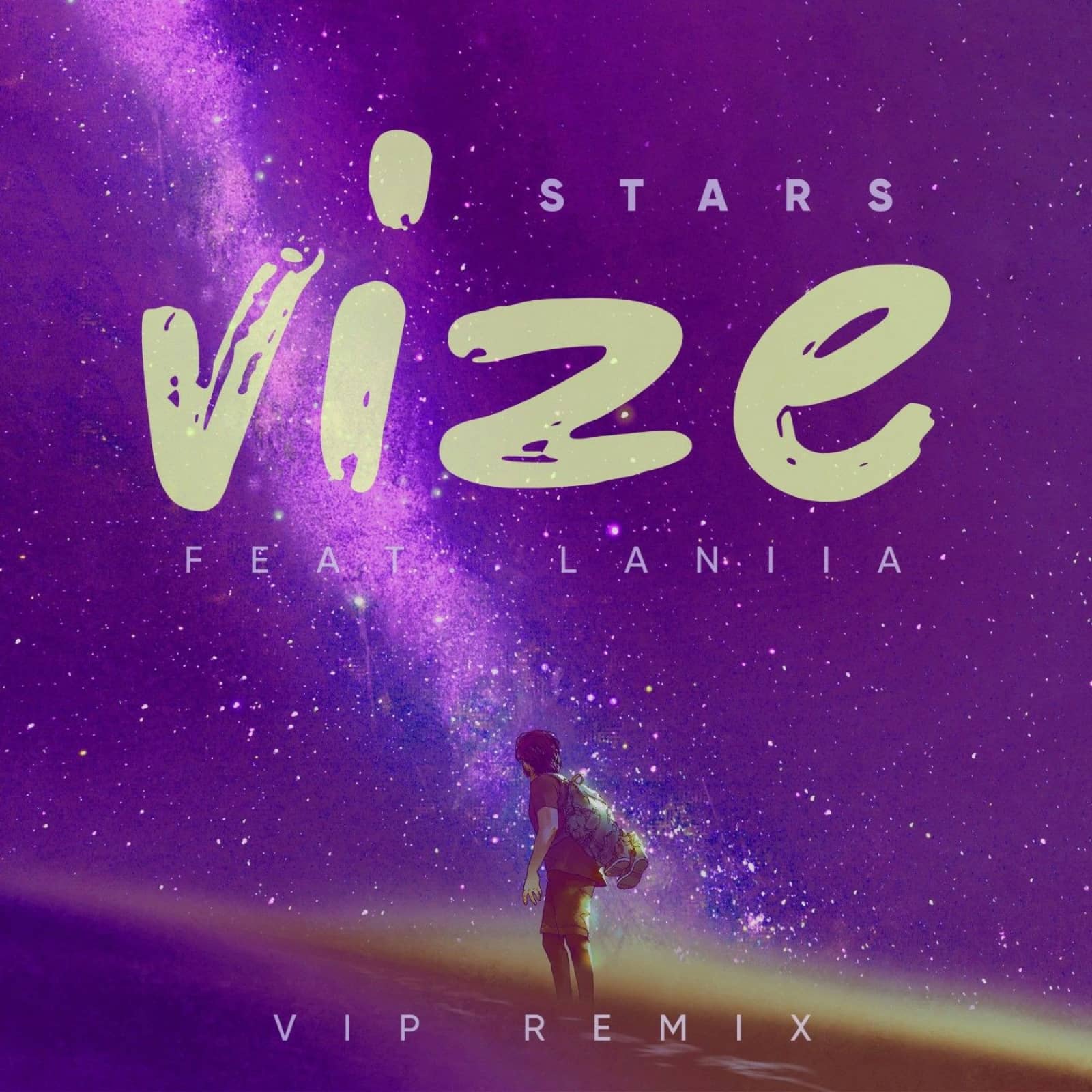VIZE feat. Laniia — Stars (VIP Remix)