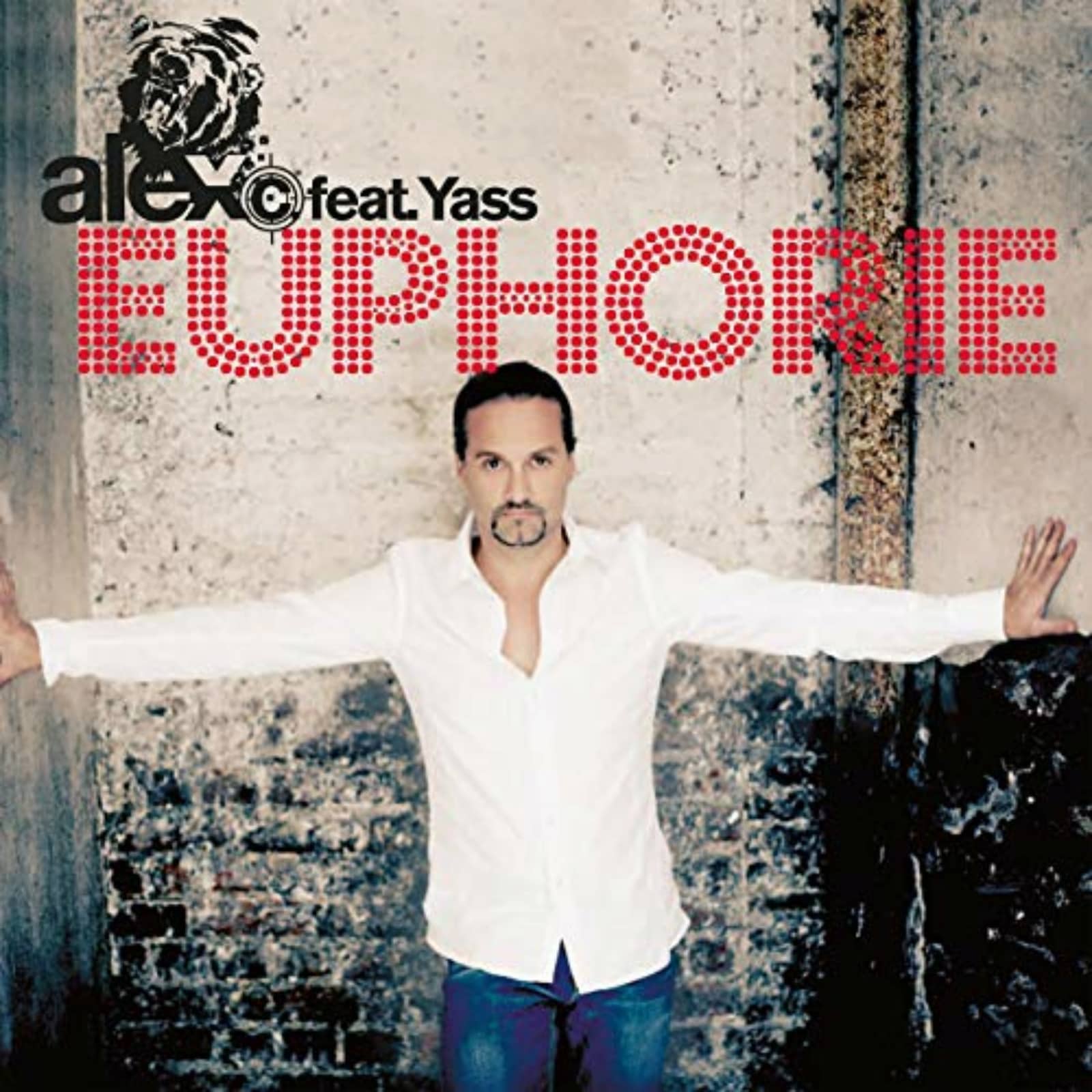 Alex C. Feat. Y-ass — Du Hast Den Schönsten Arsch Der Welt (Basshunter's Bass My Ass Radio Mix)