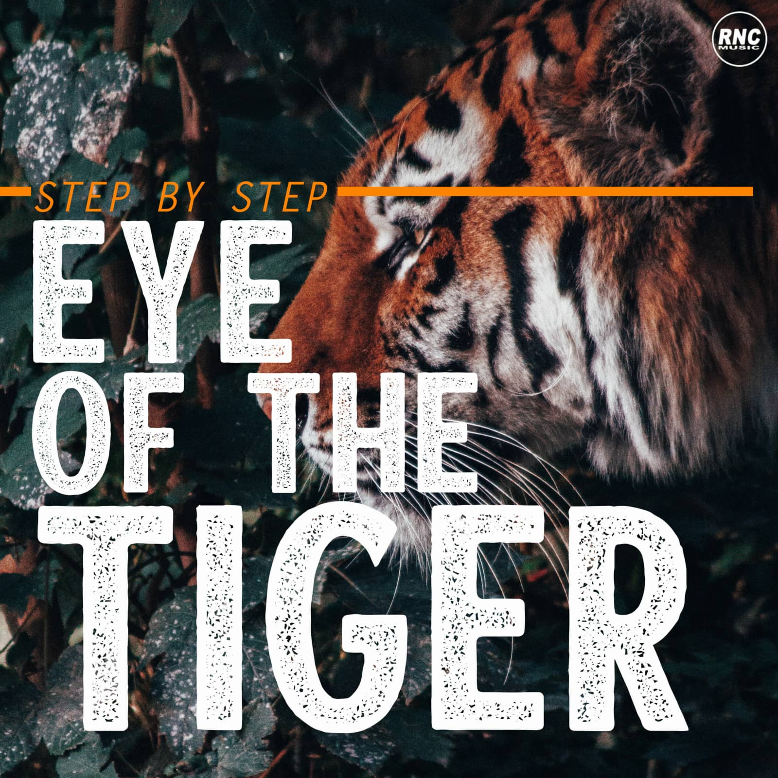 Step By Step — Eye Of The Tiger 2021 (Extended Mix)