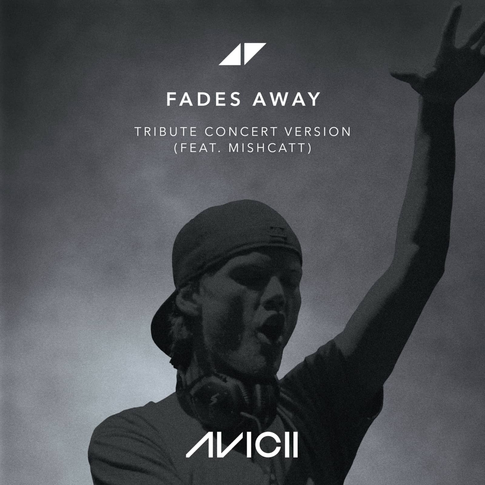 Avicii feat. MishCatt — Fades Away (Tribute Concert Version)