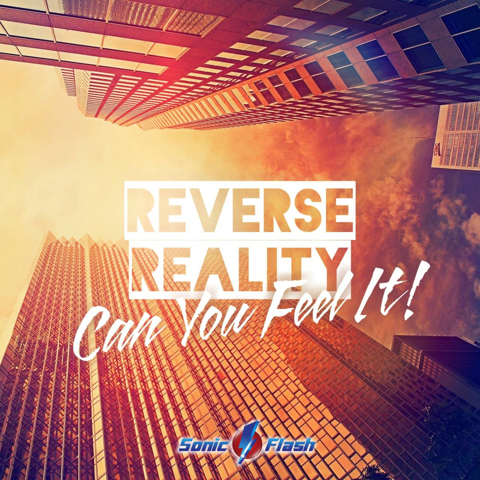 Reverse Reality — Can You Feel It (Dub Edit)