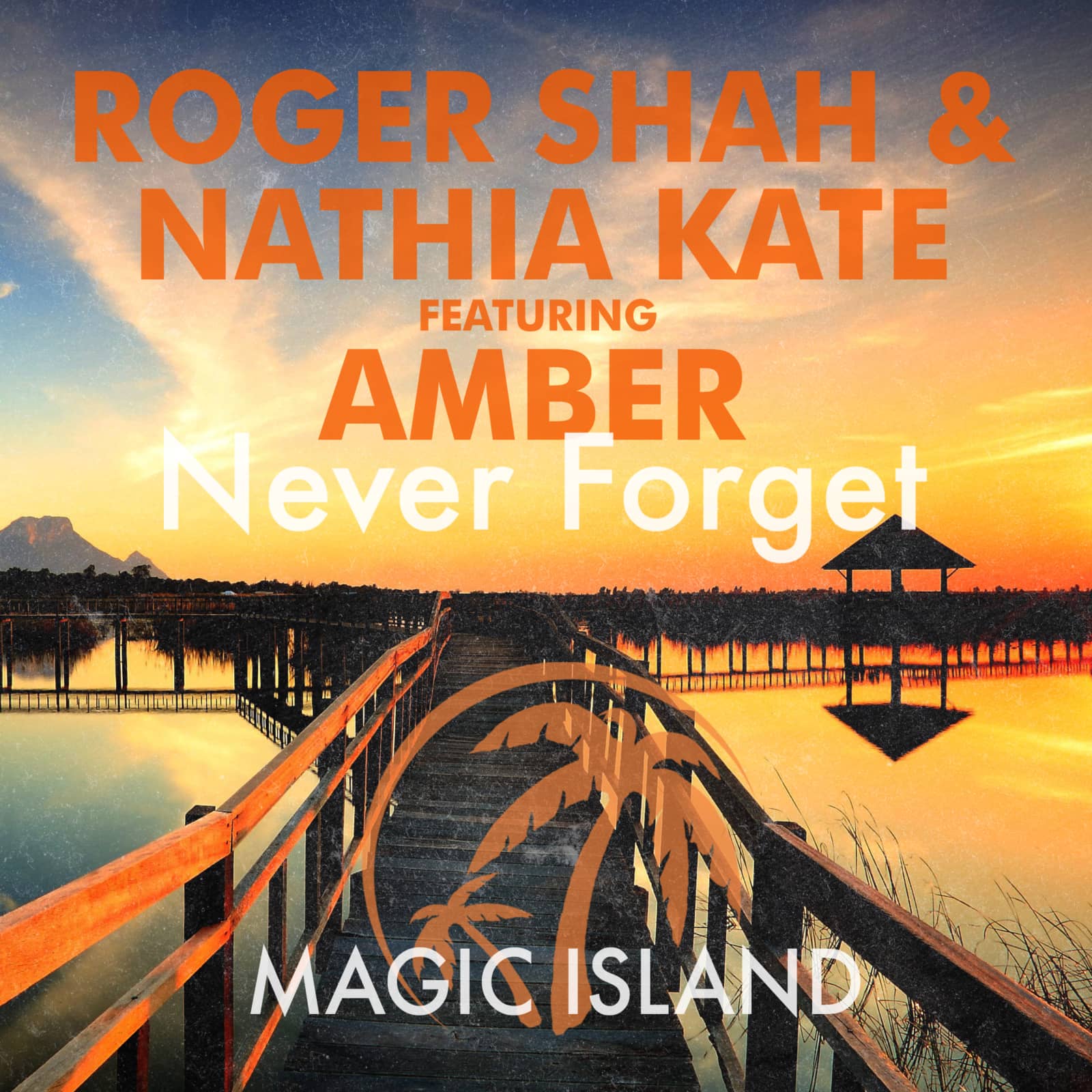 roger shah & nathia kate feat. amber — never forget (original mix)