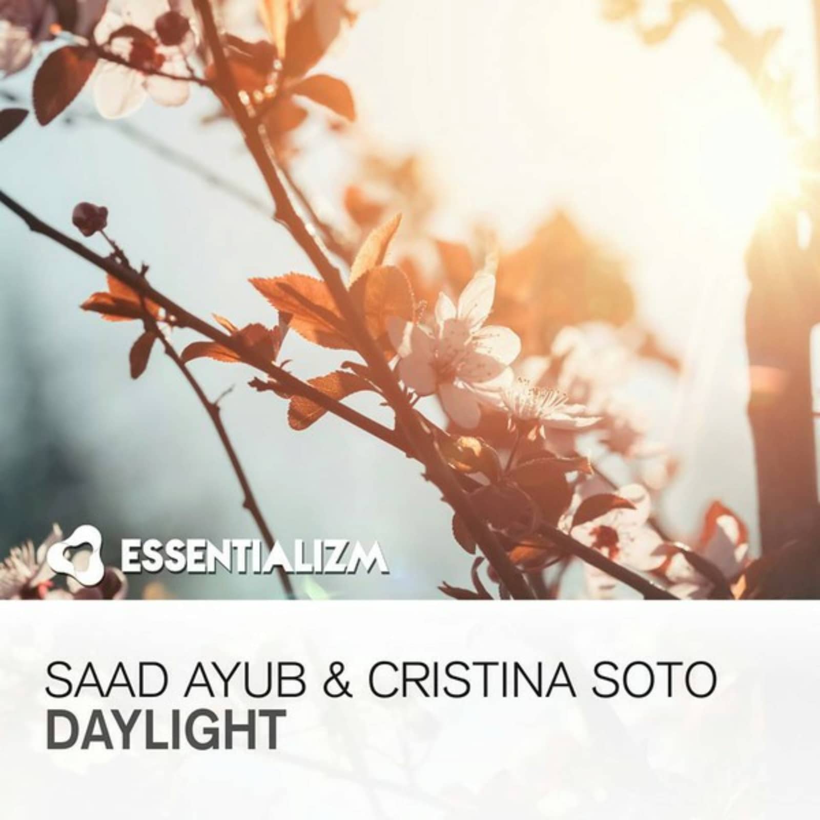 Saad Ayub & Cristina Soto — Daylight (Radio Edit)