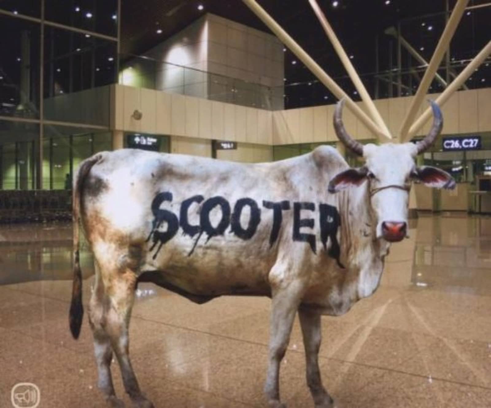 Scooter — Behind the Cow (radio version)