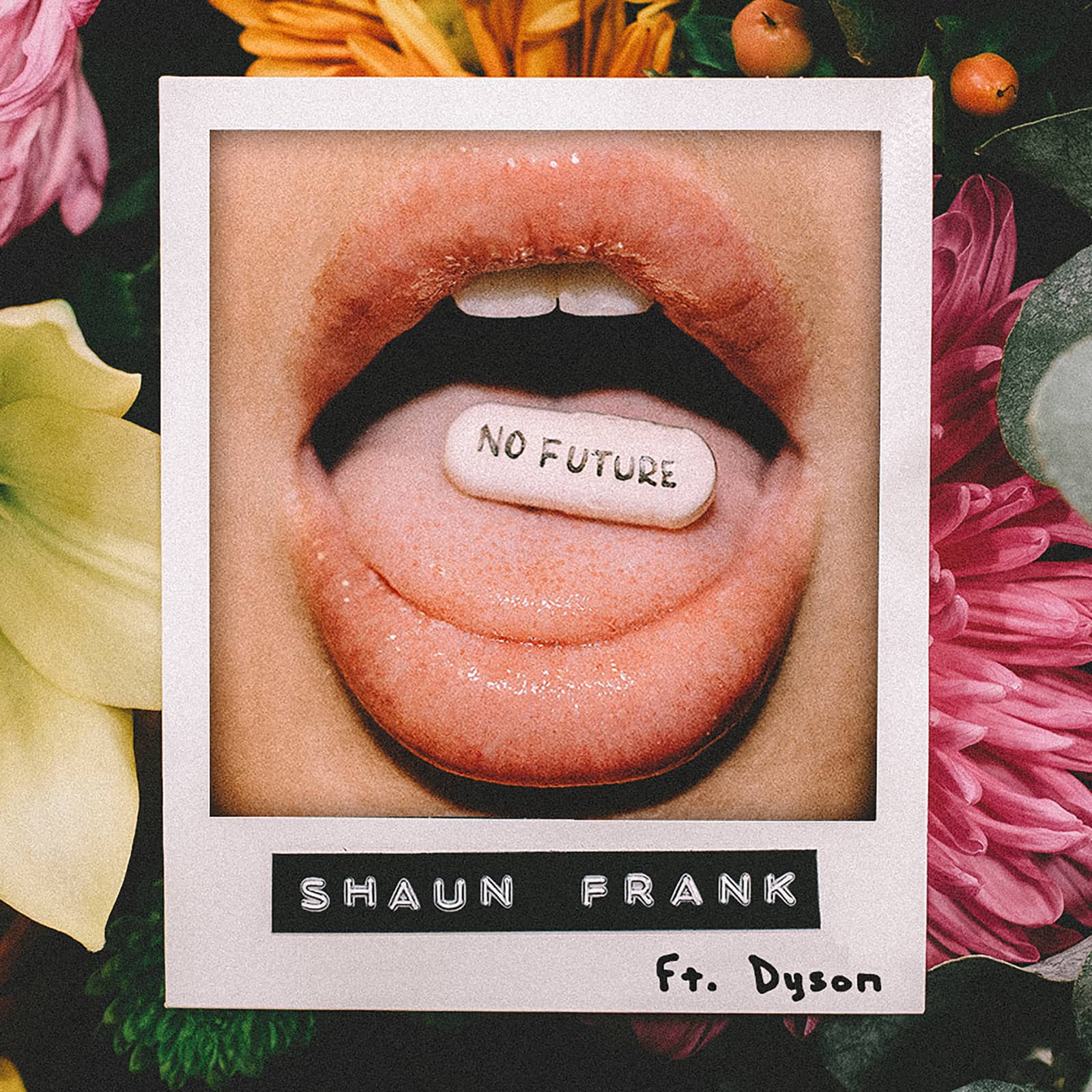 Shaun Frank Feat. Dyson — No Future