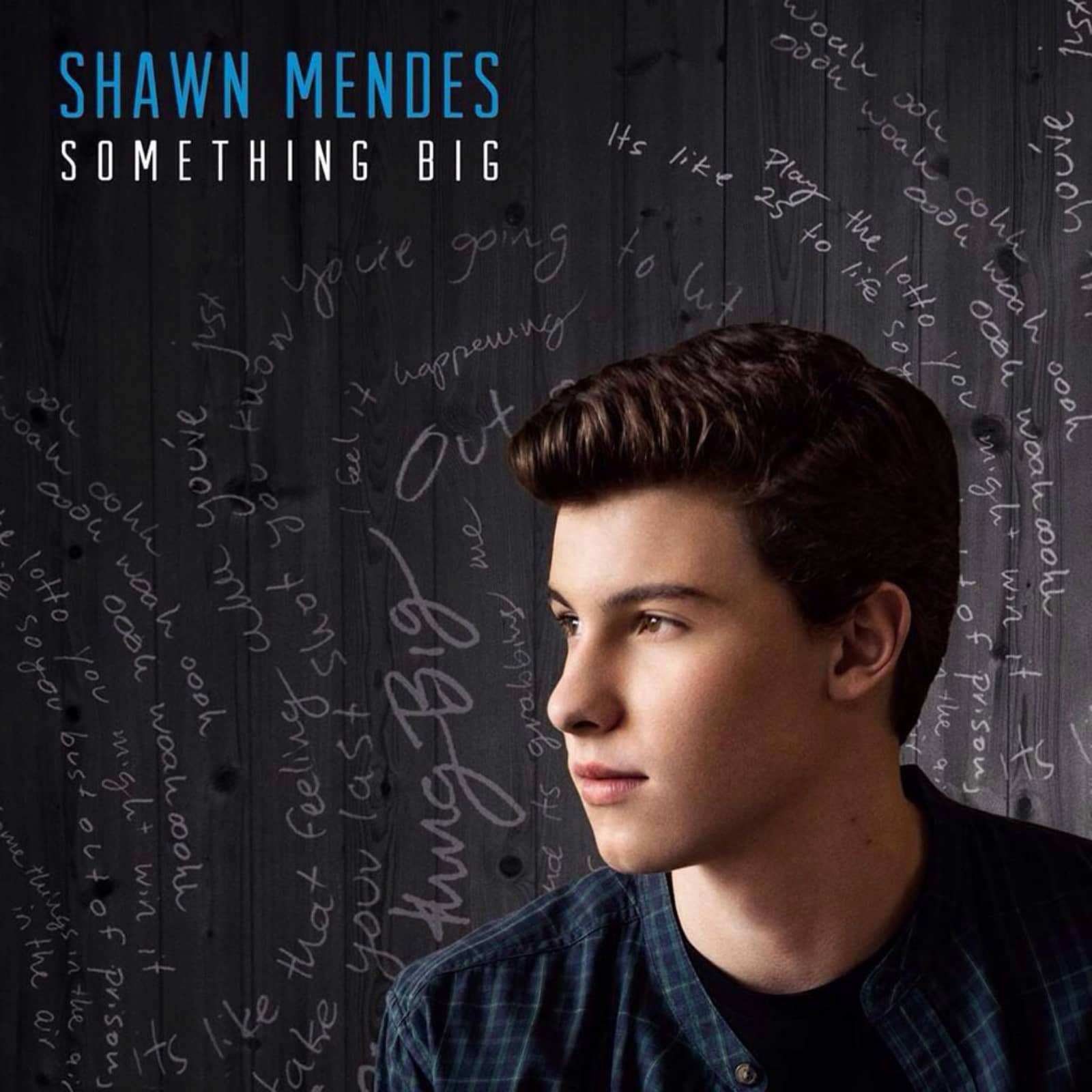 Shawn Mendes — Something Big