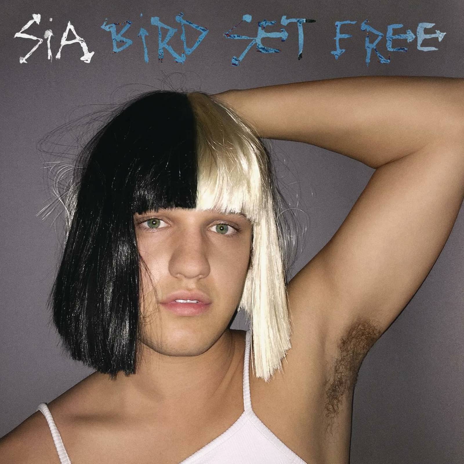 SIA — Bird Set Free