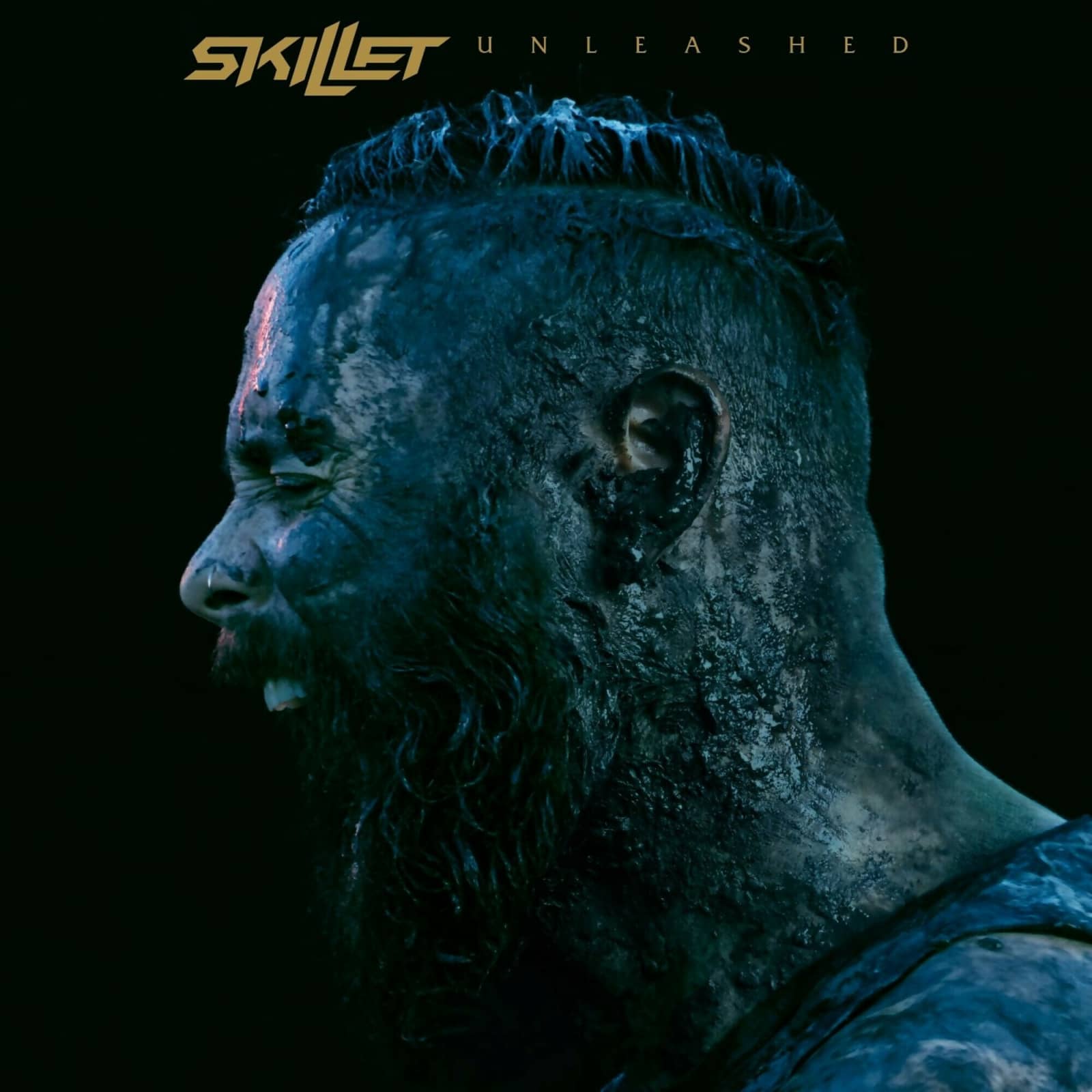 Skillet — Feel Invincible