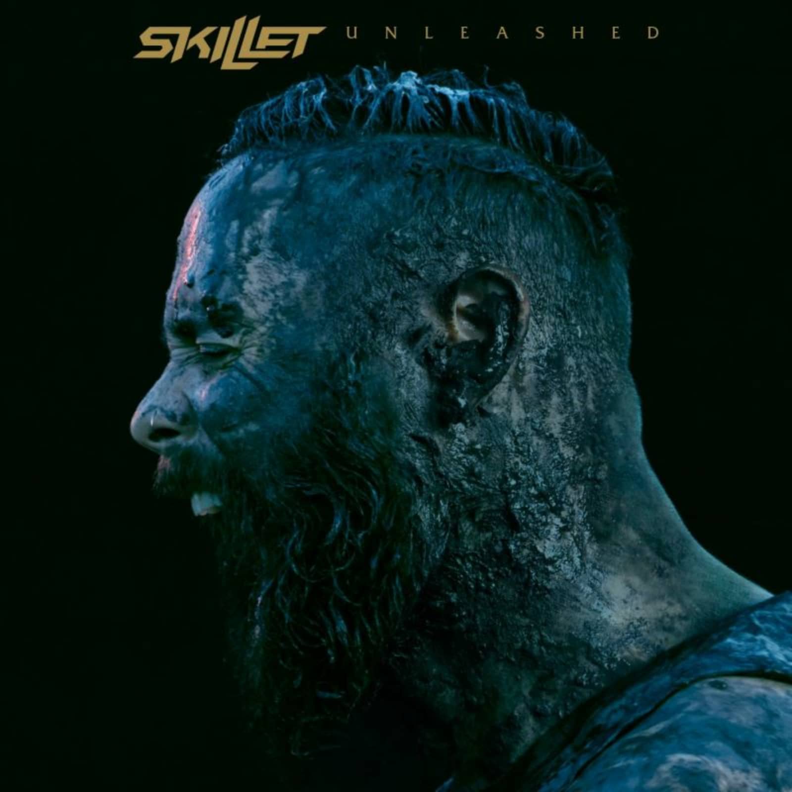Skillet — Watching for Comets