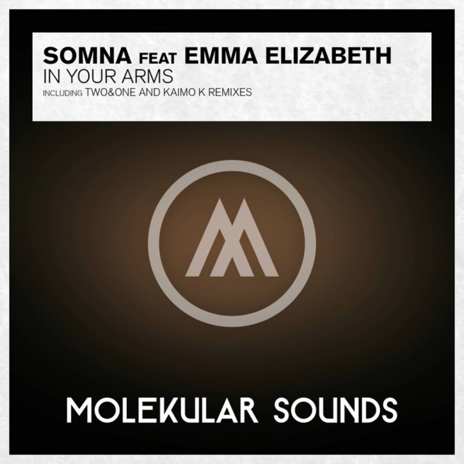 Somna — In Your Arms (Two&One Remix)