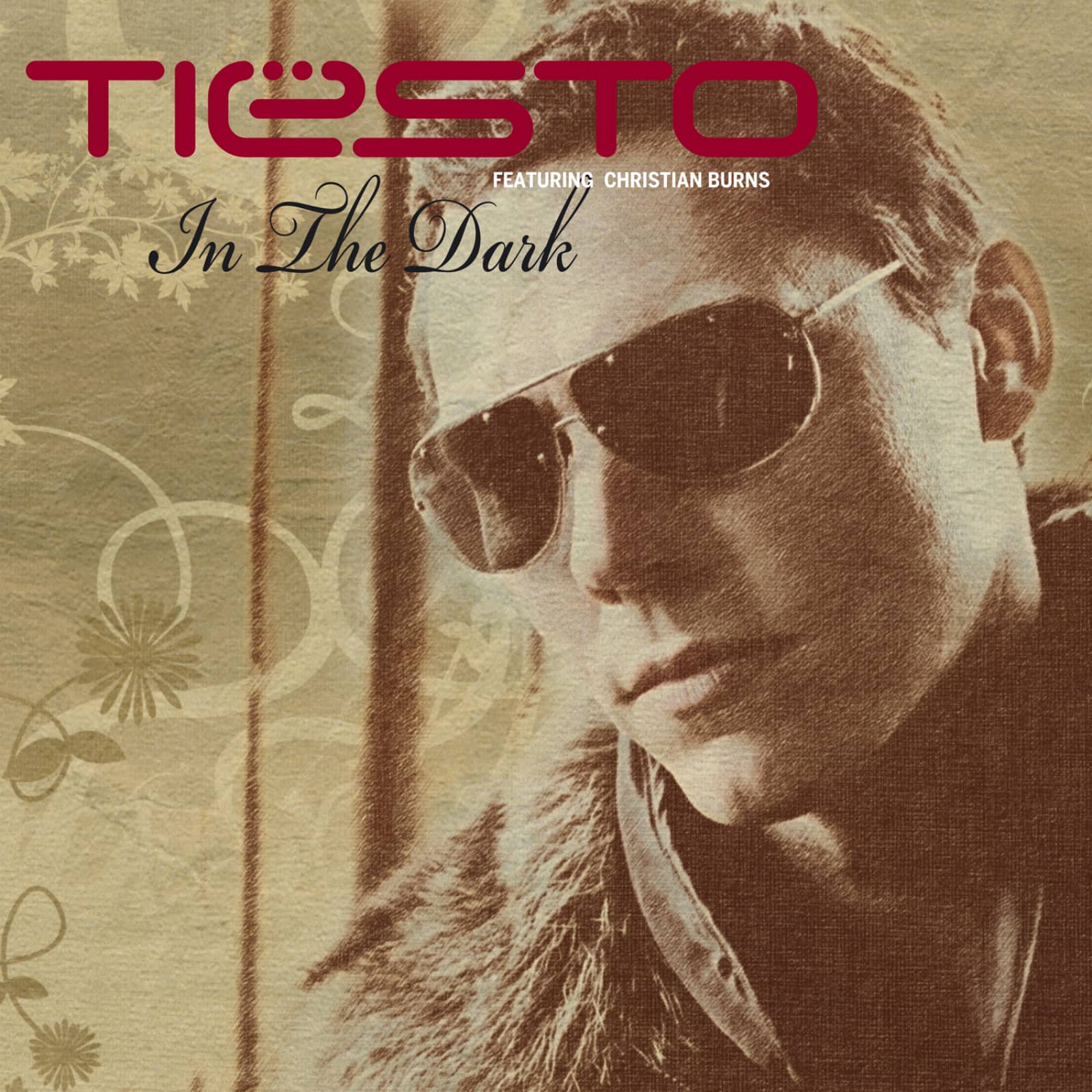 Tiësto feat. Christian Burns — In the Dark