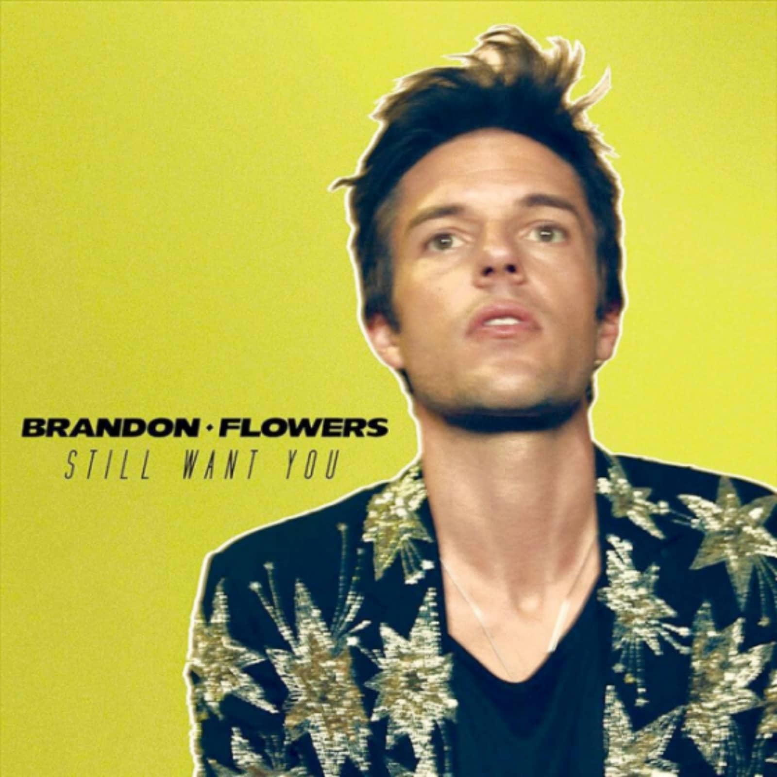 Brandon Flowers — Still Want You