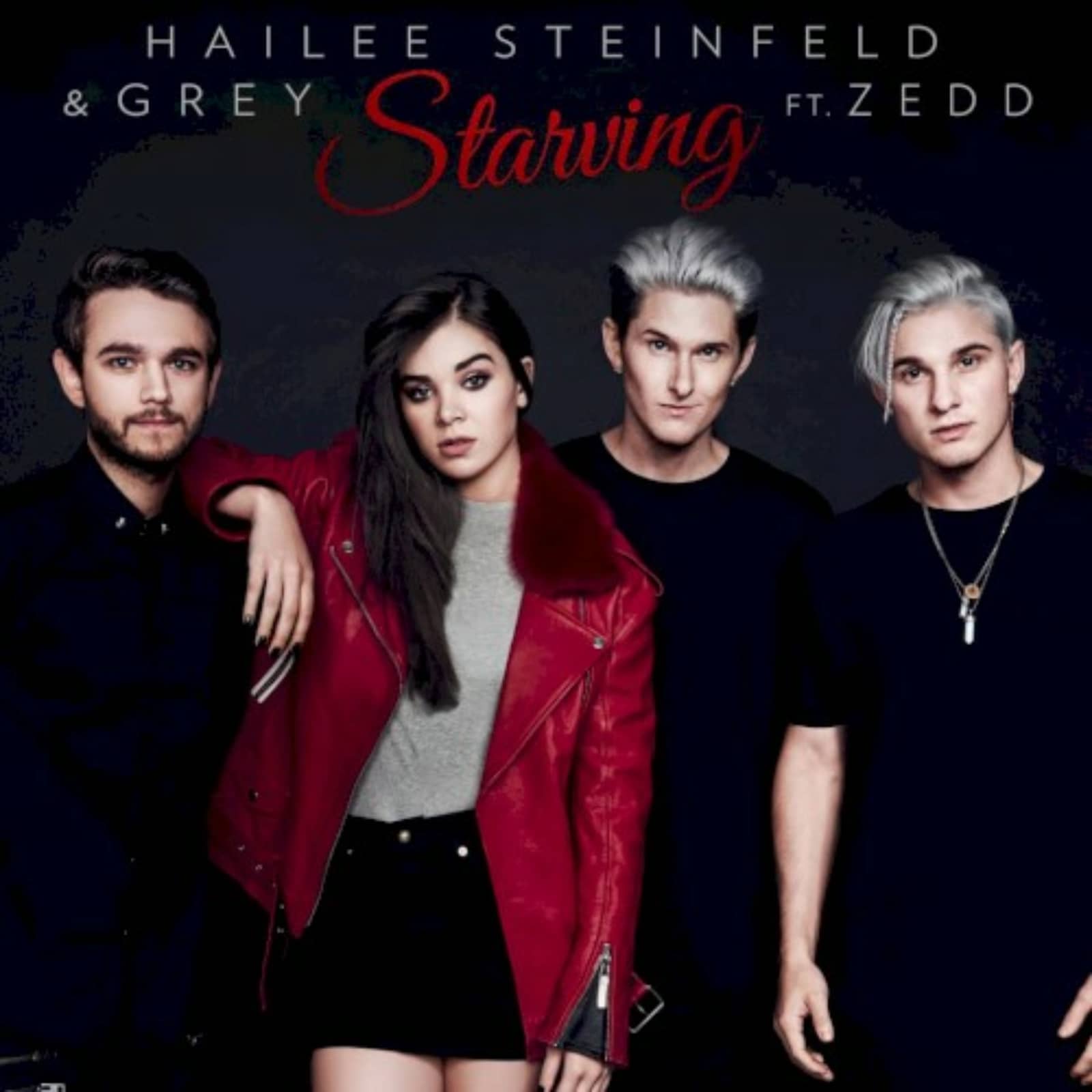 Hailee Steinfeld & Grey feat. Zedd — Starving