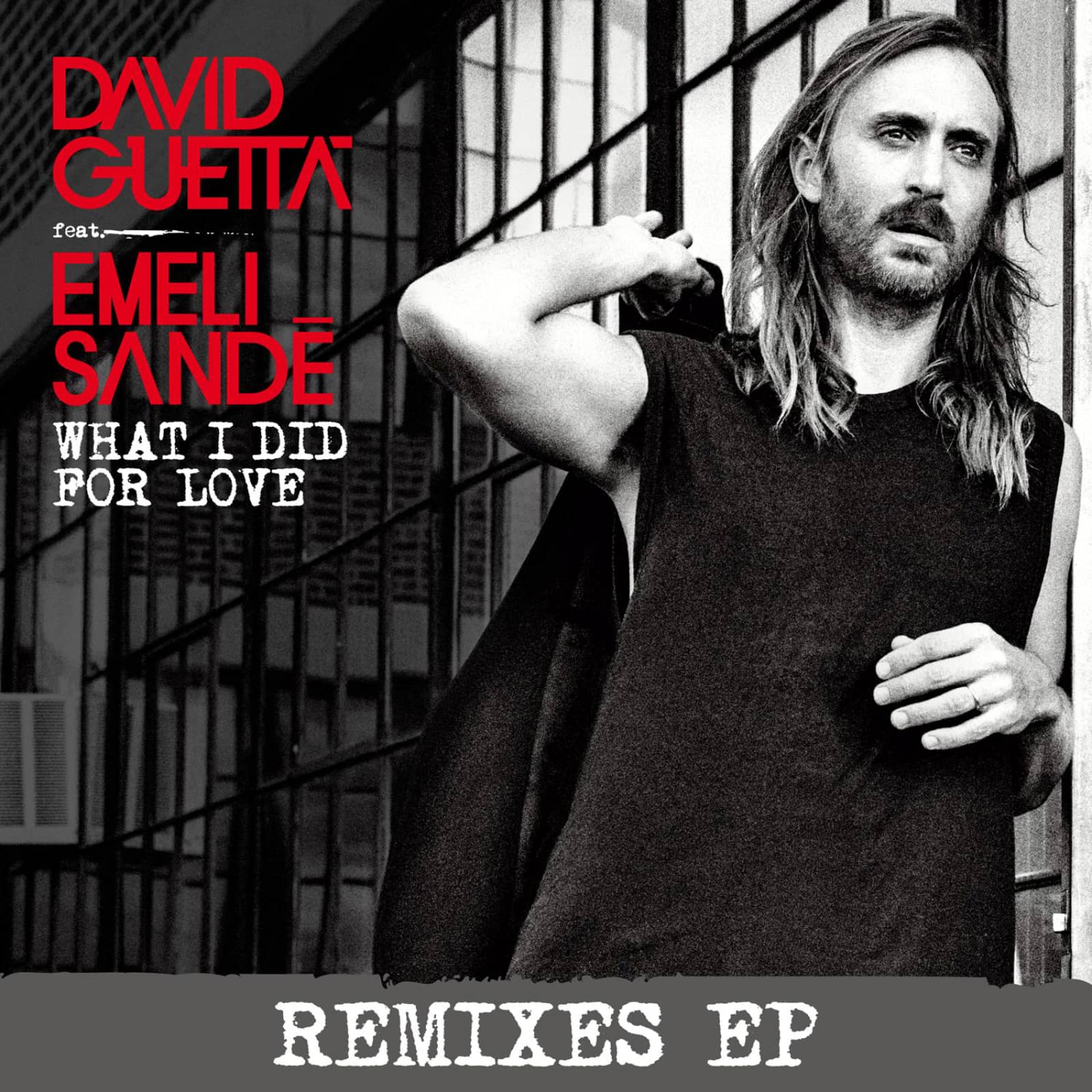 David Guetta feat. Emeli Sandé — What I Did for Love