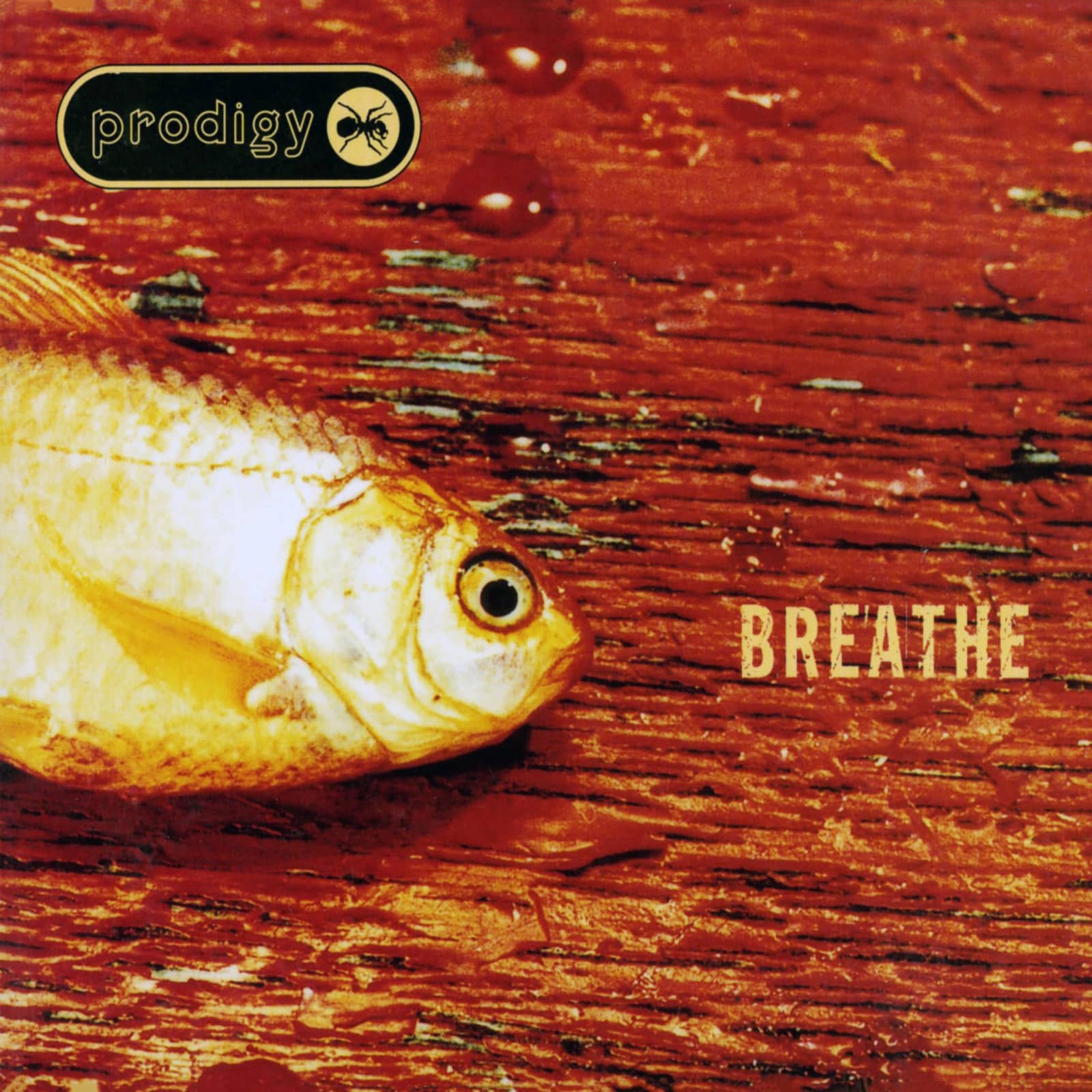 Prodigy — Breathe