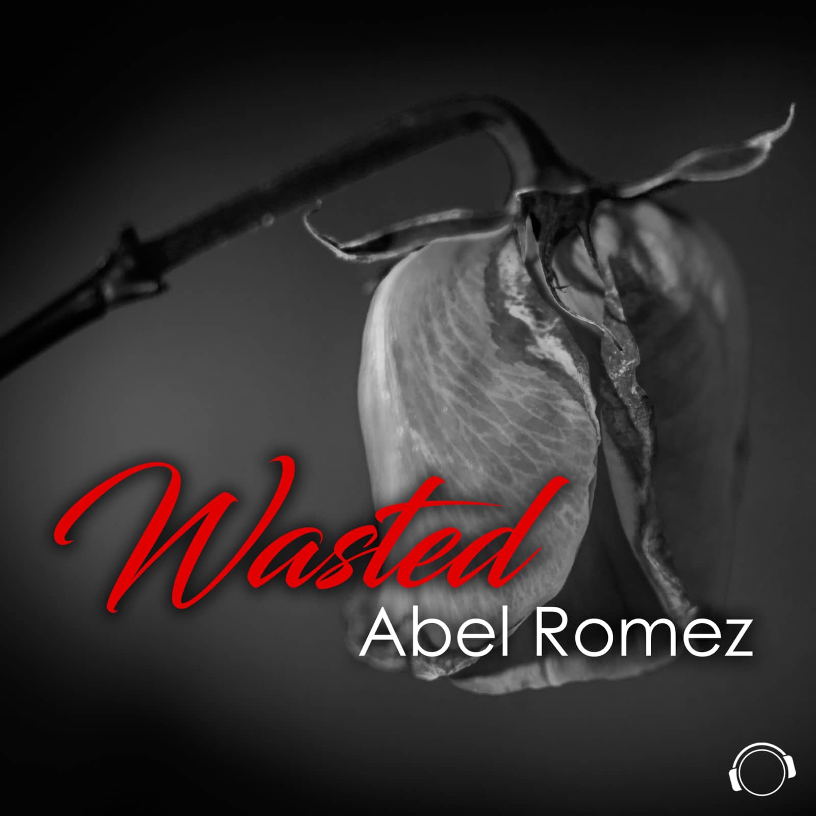 Abel Romez — Wasted (Basslouder Remix Edit)