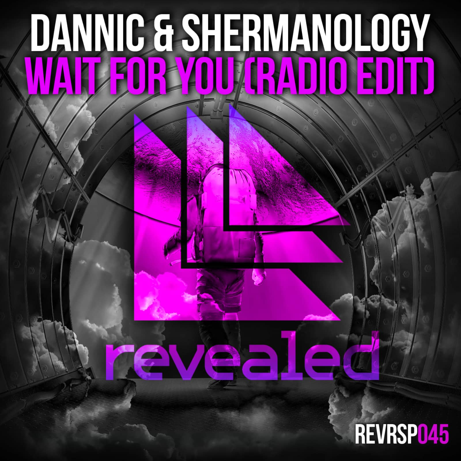 Dannic & Shermanology — Wait for You (radio edit)