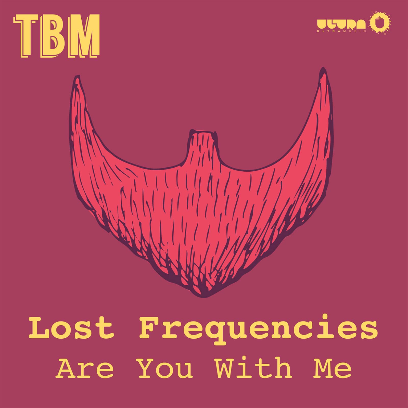 Lost Frequencies — Are You With Me
