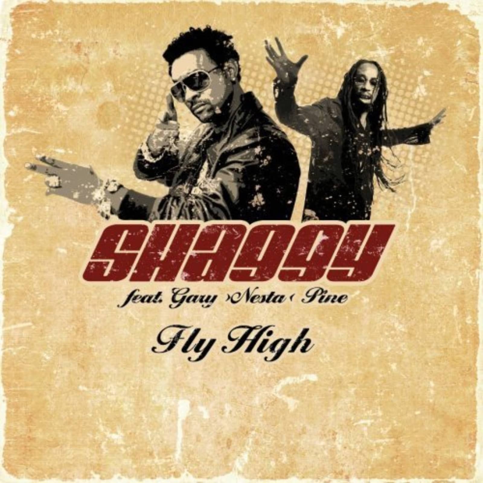 Shaggy & Gary — Fly High