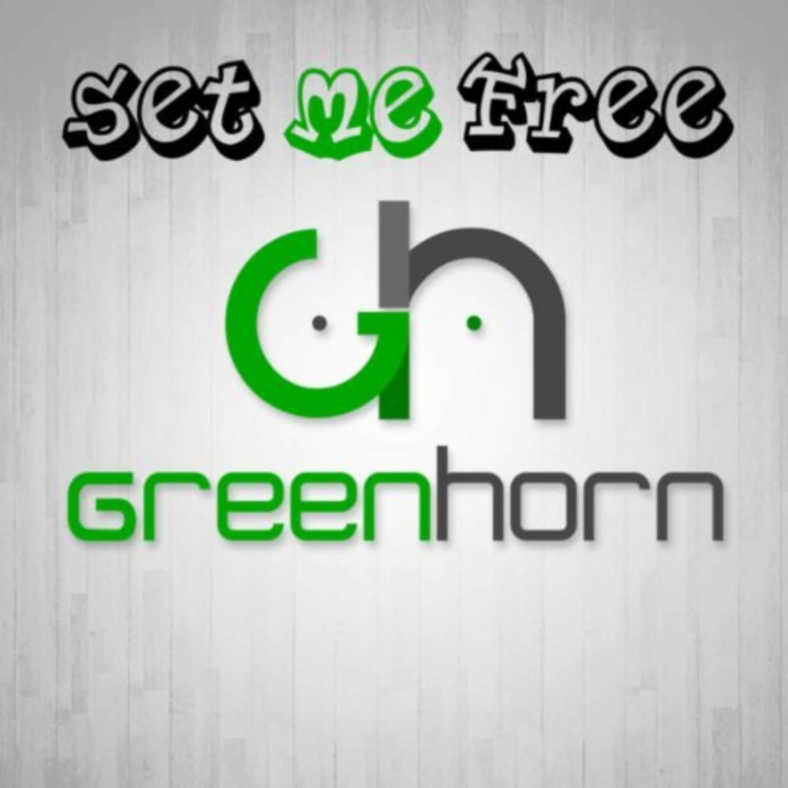Greenhorn — Set Me Free (Shaun Baker Remix)
