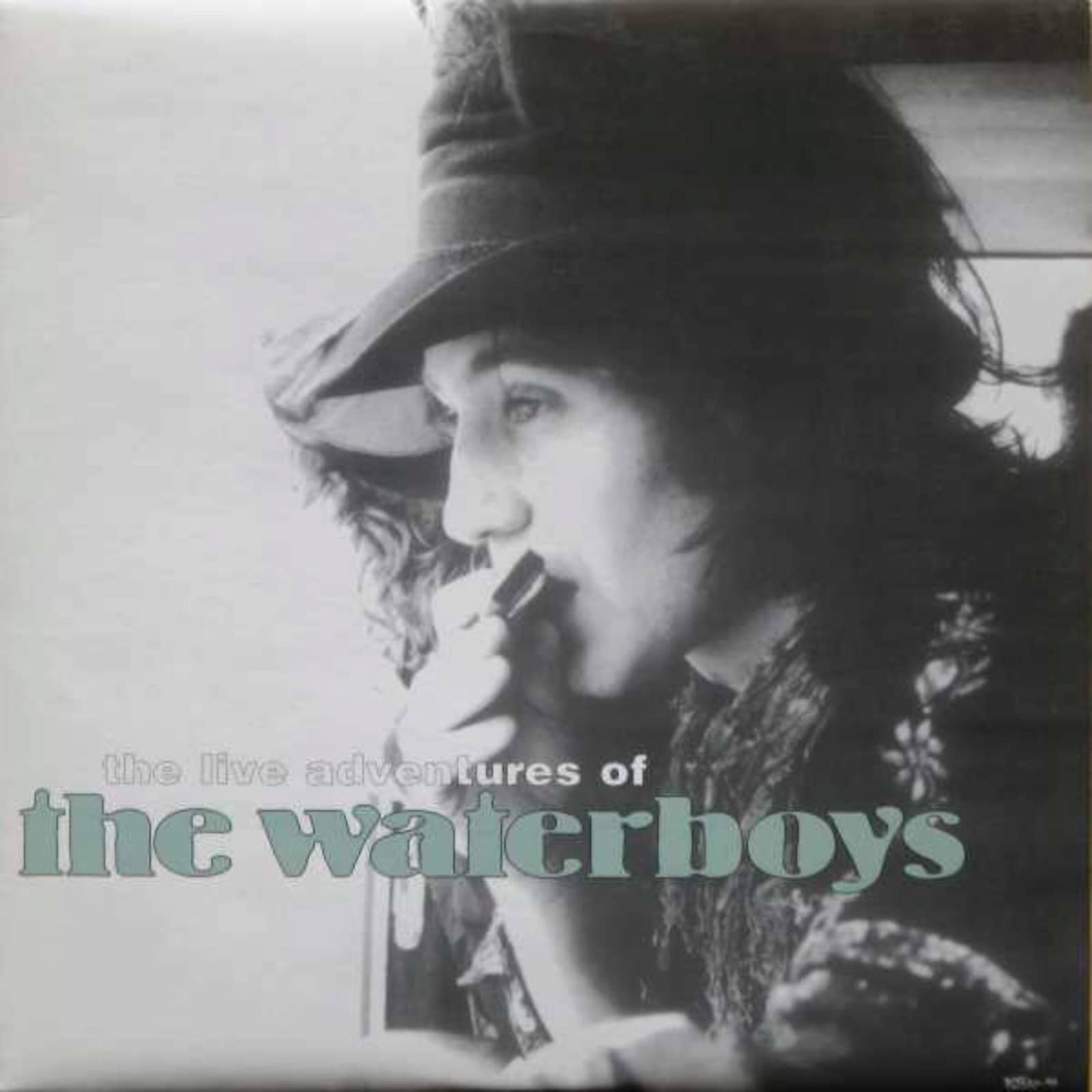 Waterboys — Purple Rain