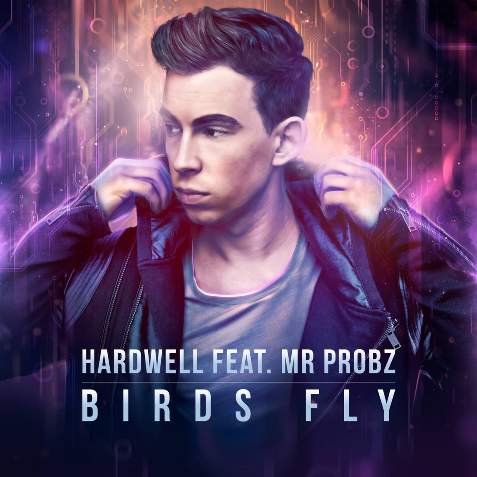 Hardwell Feat. Mr. Probz — Birds Fly (Esquire Late Night Remix)