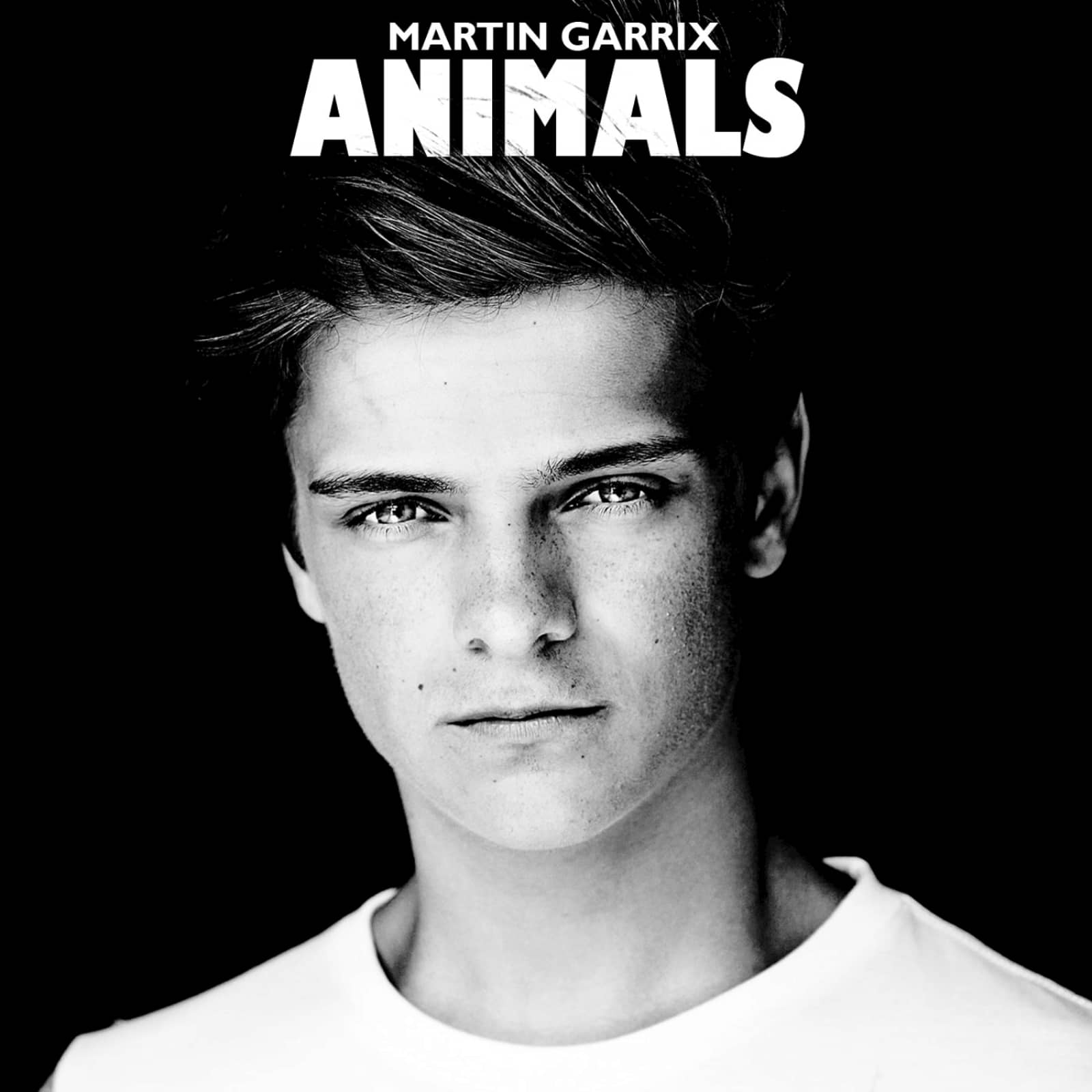 Martin Garrix — Animals