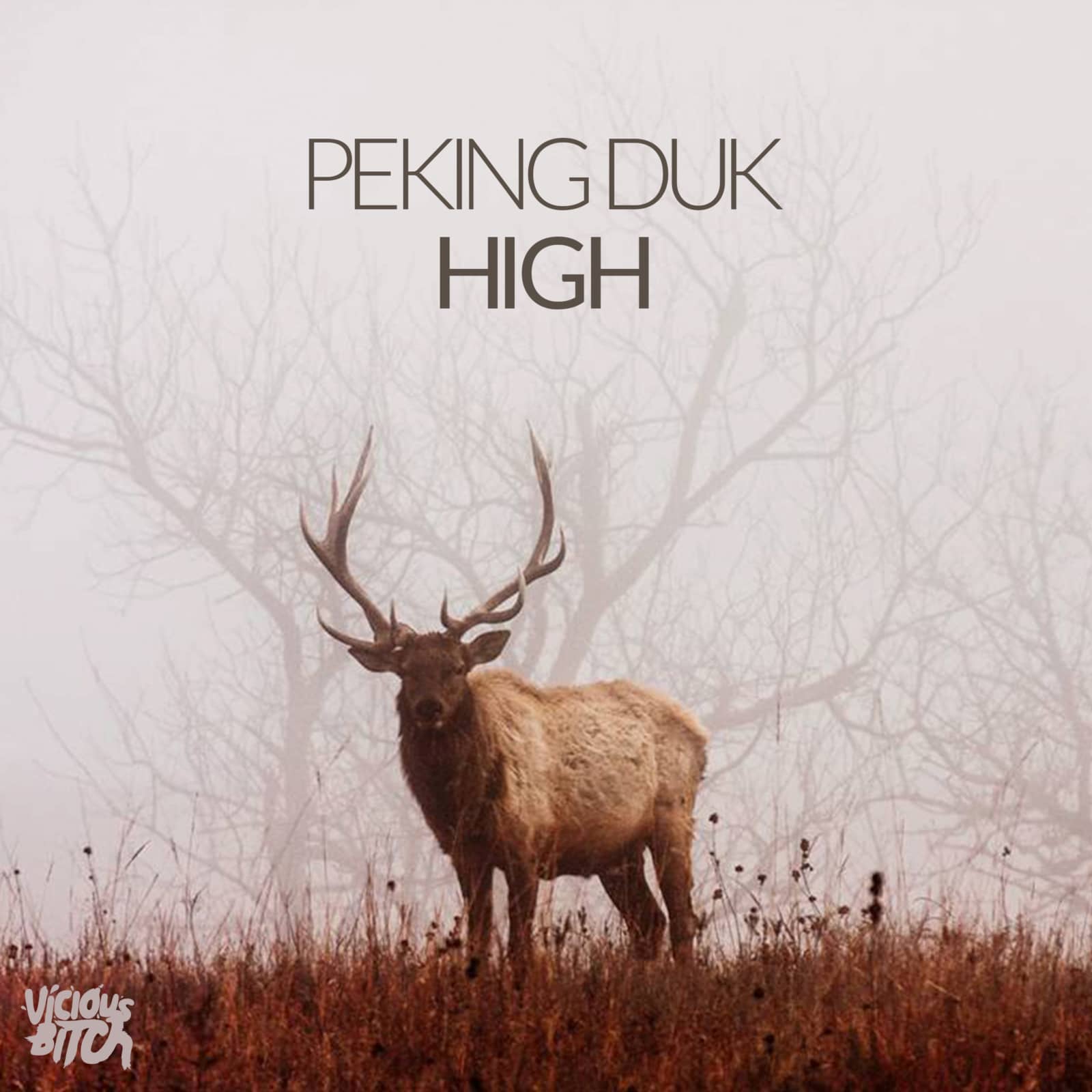 Peking Duk feat. Nicole Millar — High