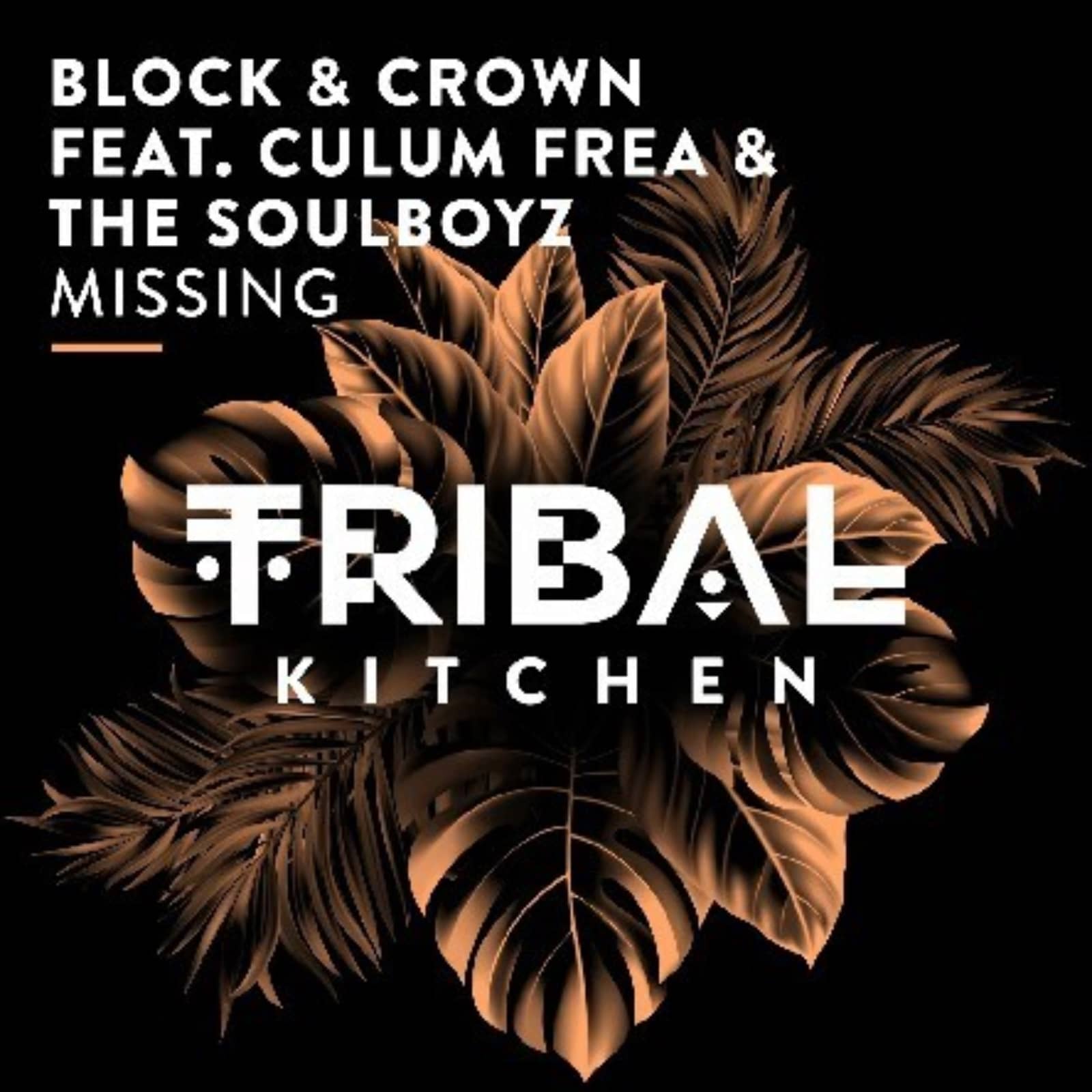 Block & Crown feat. Culum Frea & the Soulboyz — Missing (Extended Mix)
