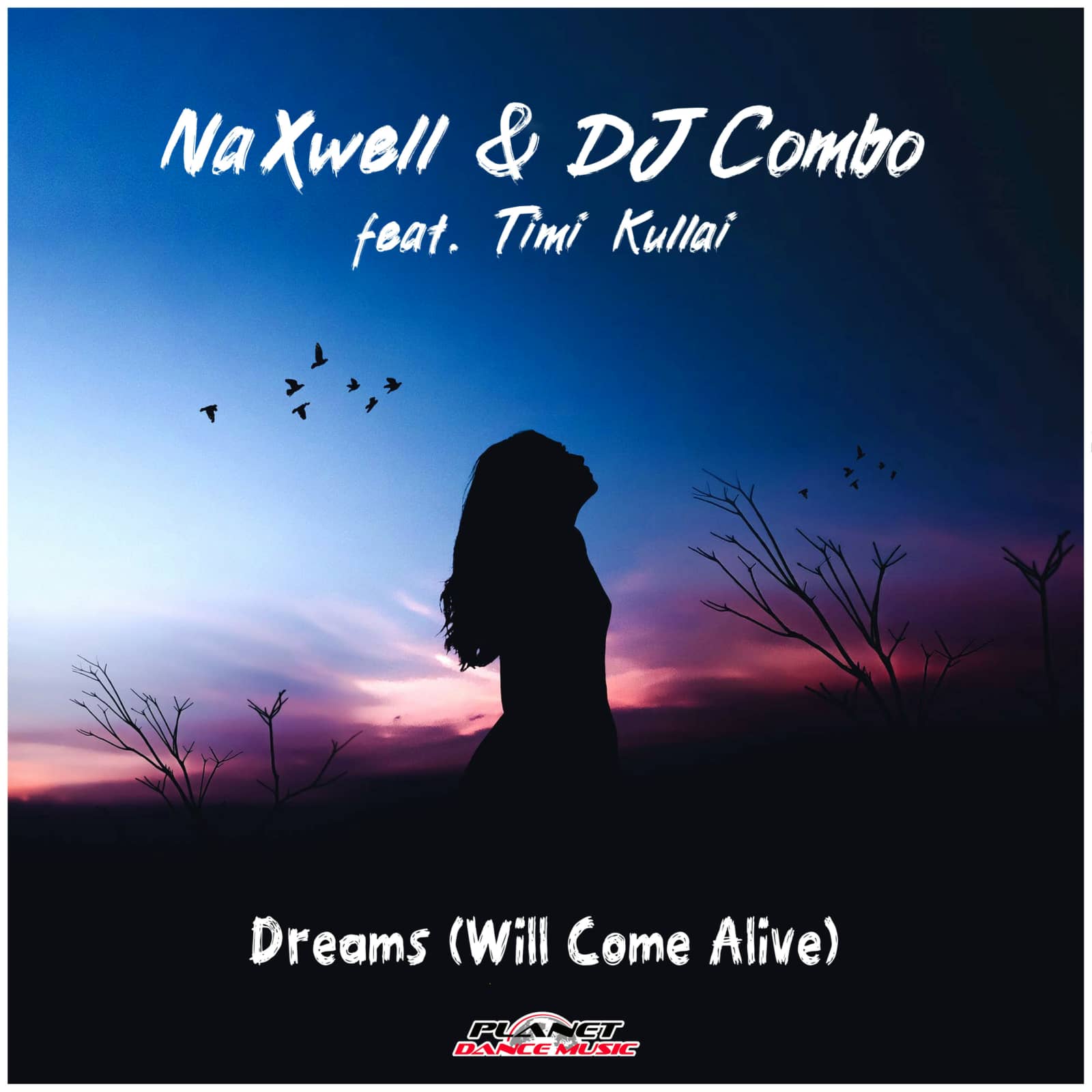 Naxwell & DJ Combo & Timi Kullai — Dreams (Will Come Alive) (Radio Edit)