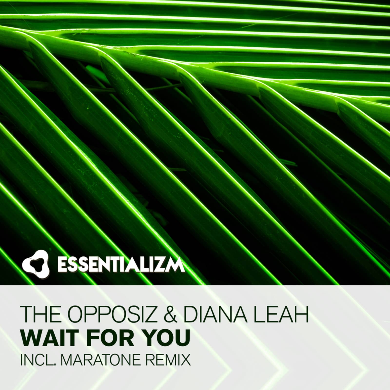 Opposiz, The & Diana Leah — Wait For You (Radio Edit)