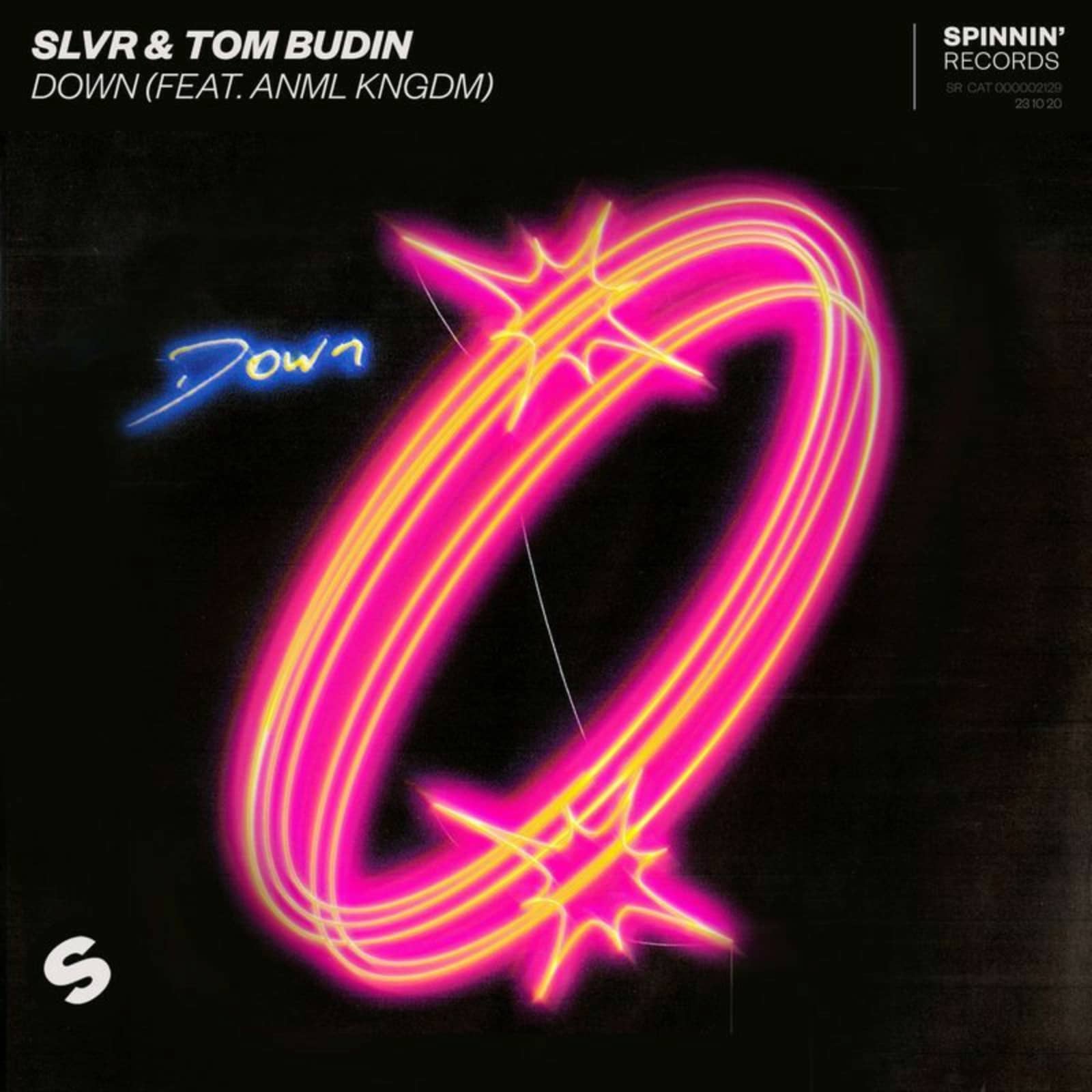 SLVR & Tom Budin — Down (Feat. ANML KNGDM)