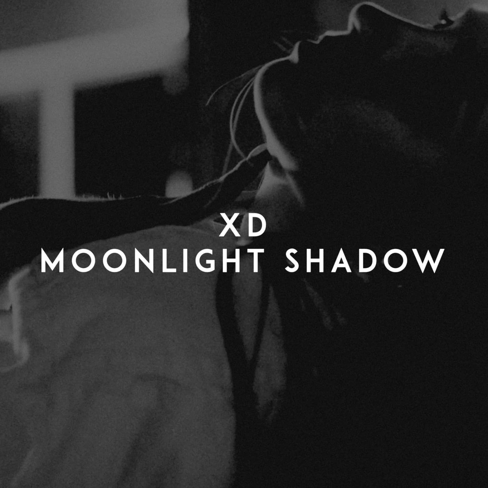 XD — Moonlight Shadow