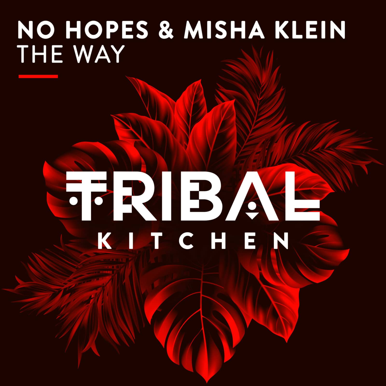 No Hopes & Misha Klein — The Way