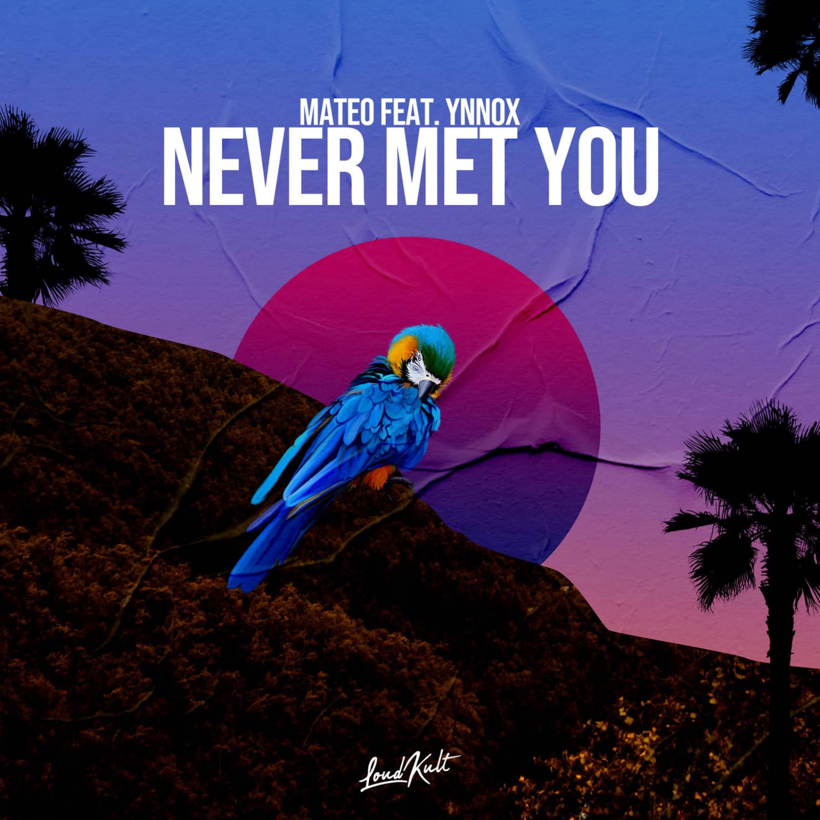 Mateo,Ynnox — Never Met You