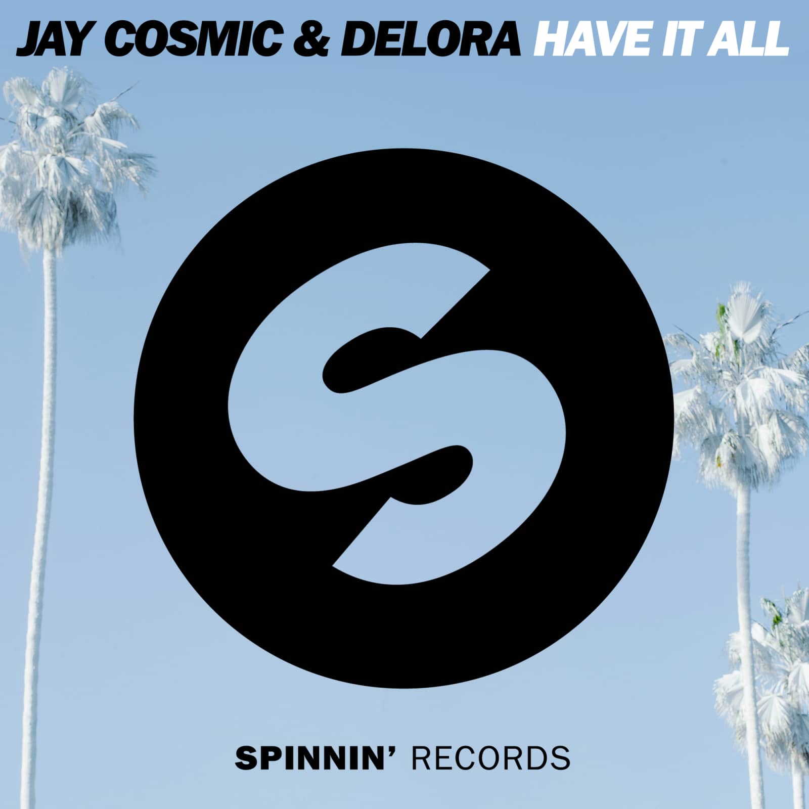 Jay Cosmic feat. Delora — Have It All