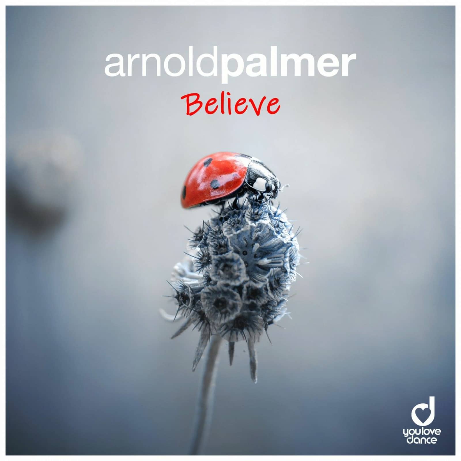Arnold Palmer — Believe (Club Edit)